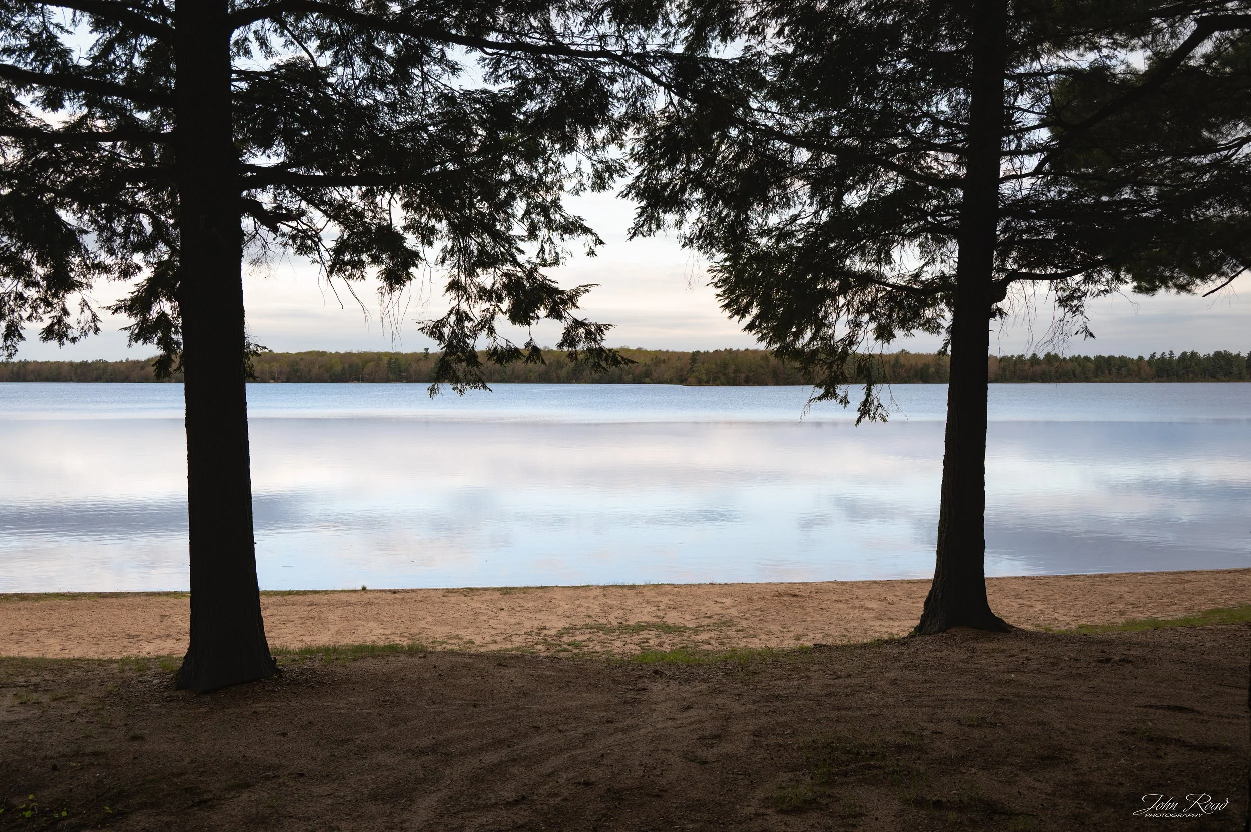 Lake view framed by tall pine trees with a sandy shoreline and calm water beyond.