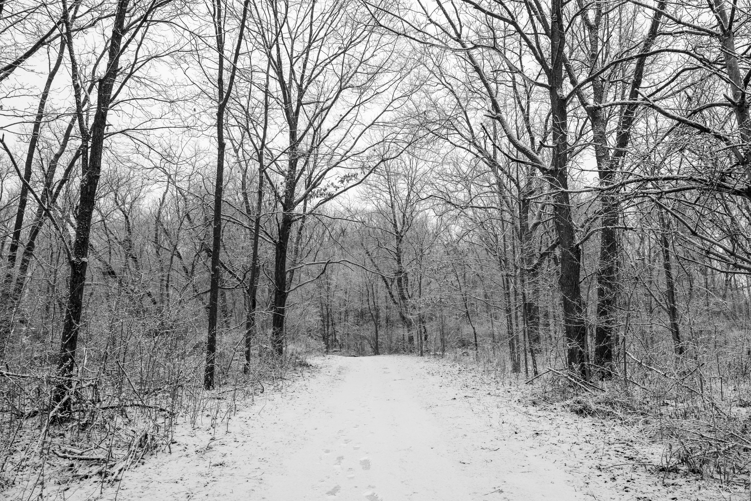 Black and white photo of footprints on a snowy forest path surrounded by winter trees.