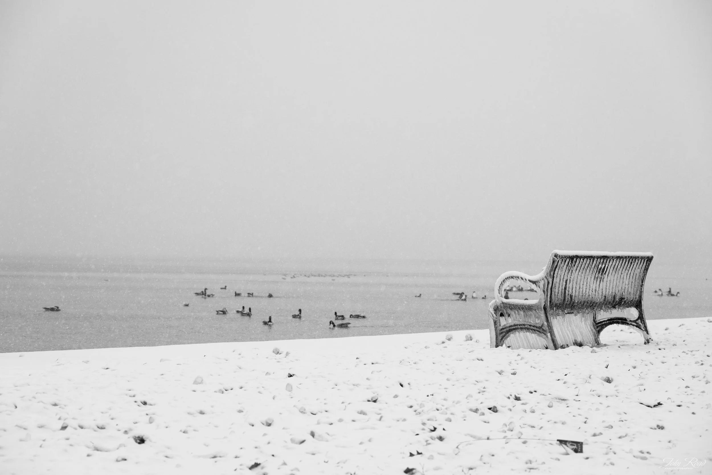Snow-covered bench facing a winter lake with ducks in the distance.