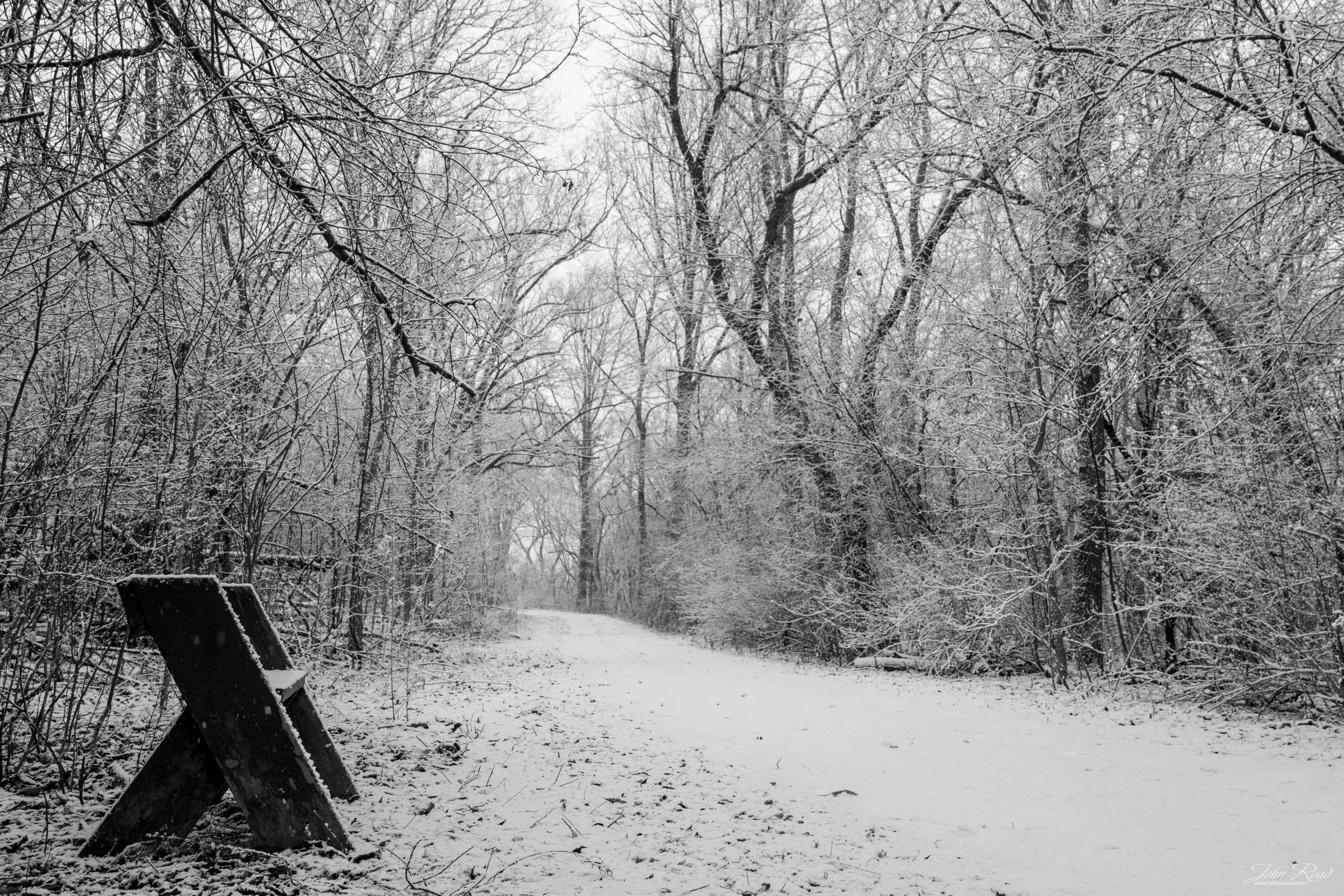 Black and white photo of a bench beside a snowy forest trail in winter.