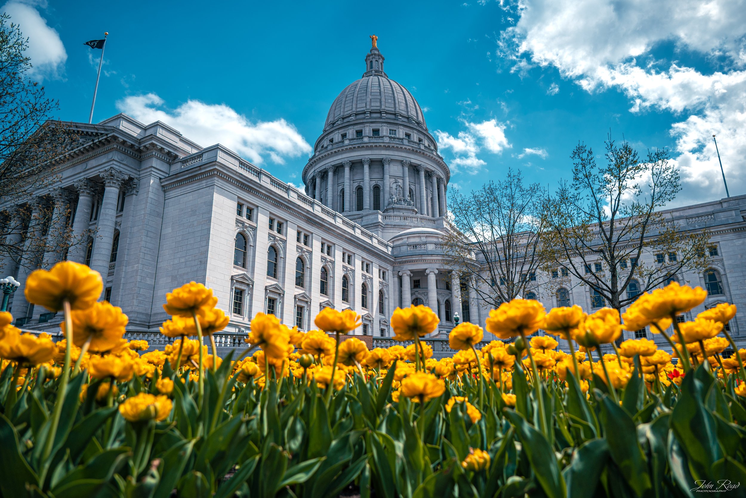 Spring in the Capitol.jpg