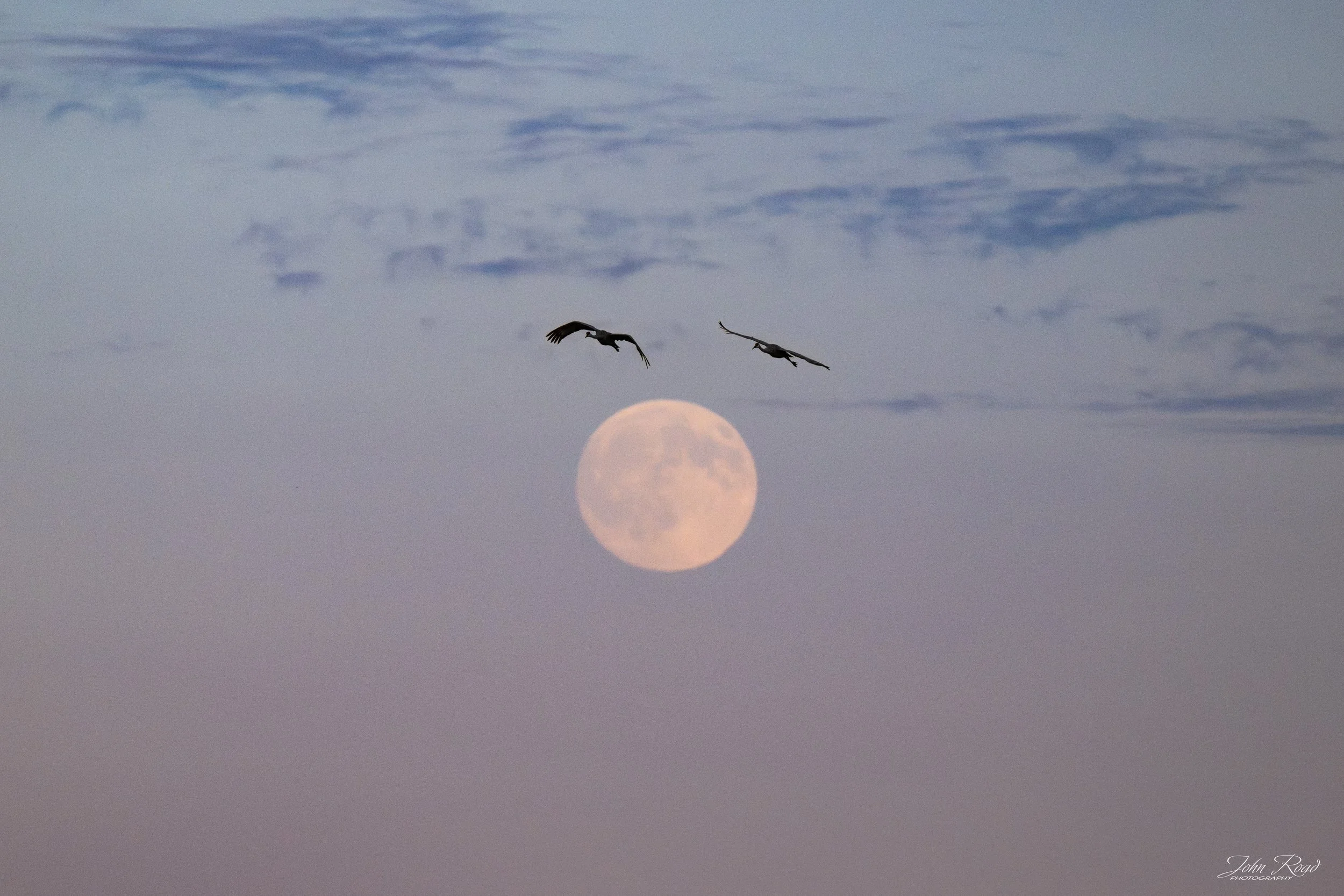Under the Harvest Moon