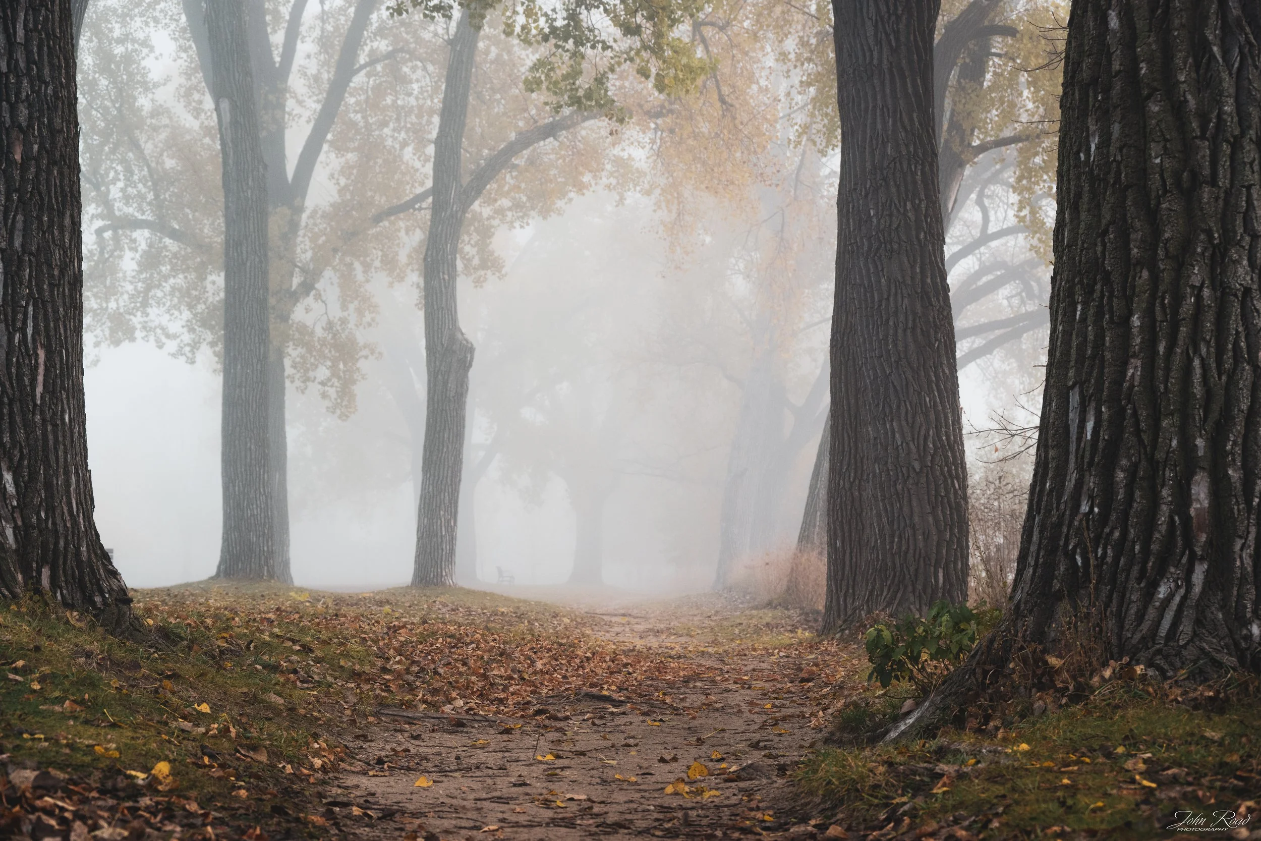 Fine art photograph of a foggy forest path at sunrise with autumn trees, captured by John Road.