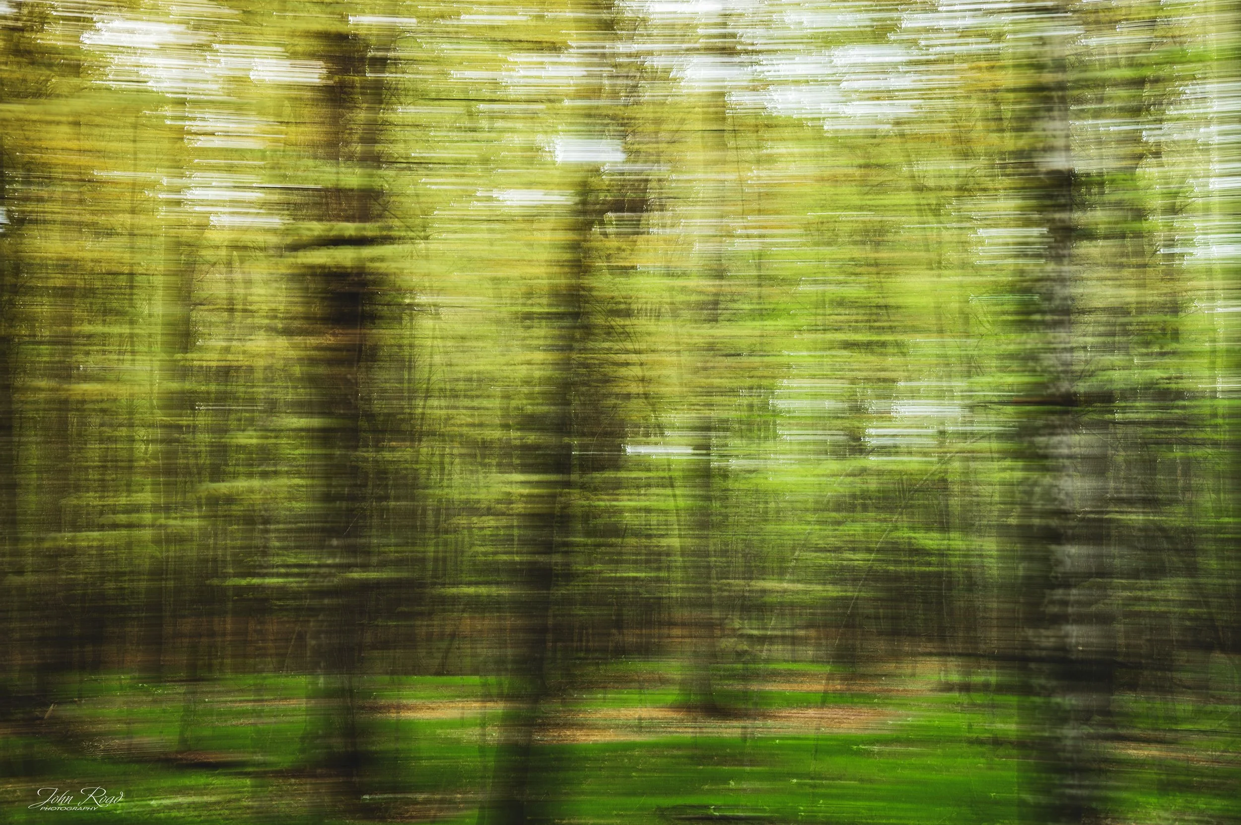 Abstract nature photography created with intentional camera movement, transforming a green forest landscape into flowing shapes, textures, and golden tones. This artistic woodland photograph captures the feeling of movement and atmosphere in the fore
