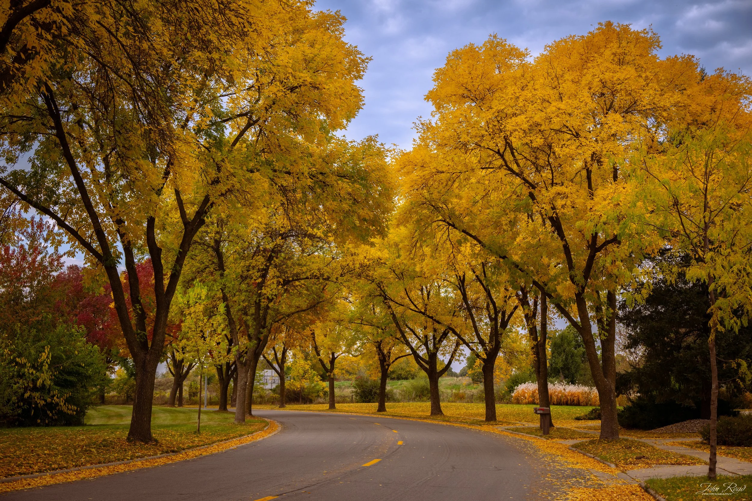 City road lined with golden fall trees during autumn in Madison, Wisconsin, photographed by John Road.