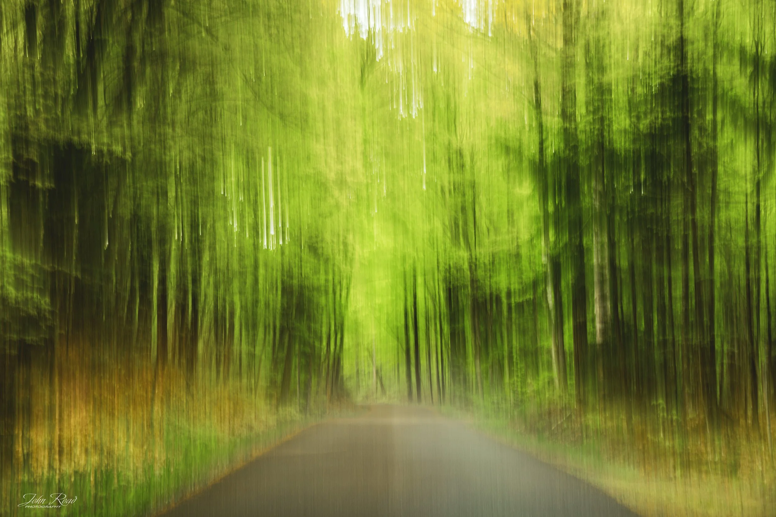 Intentional camera movement photograph of a forest road surrounded by vibrant green trees in spring.