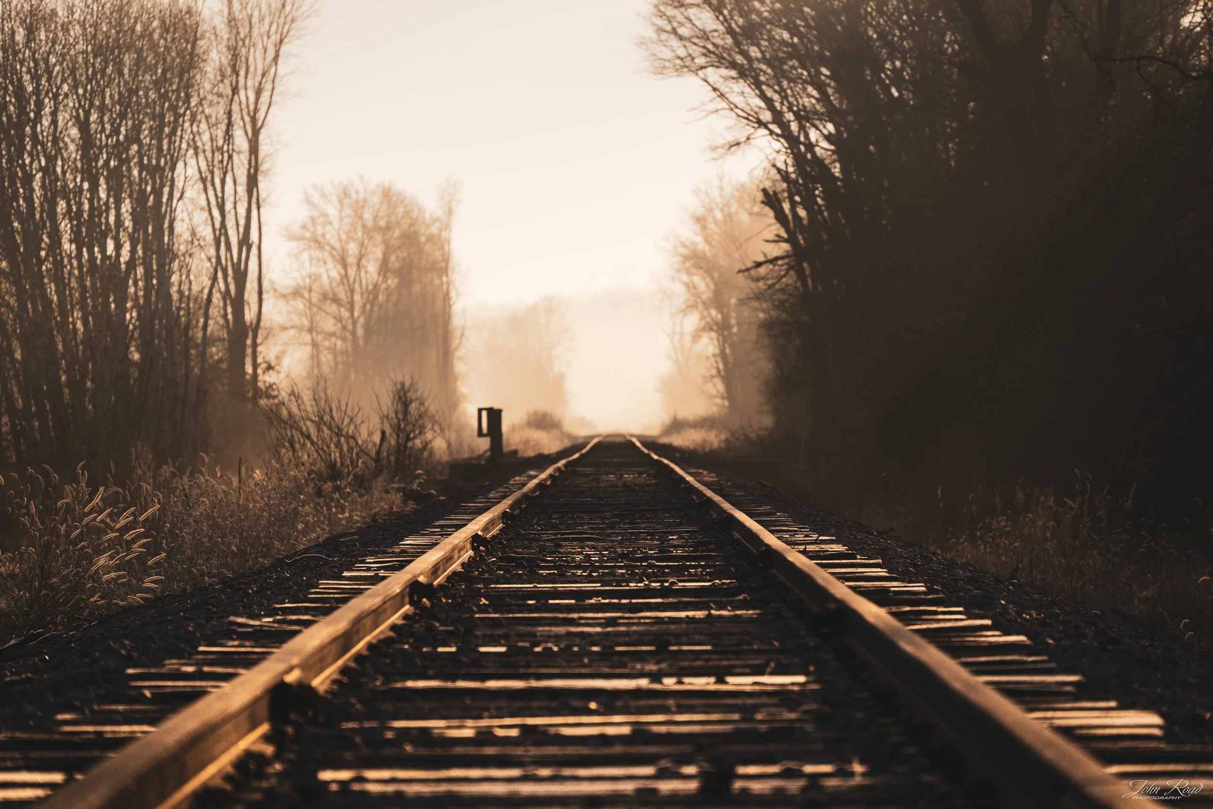 Railroad tracks leading into soft morning light with fog and bare trees on both sides