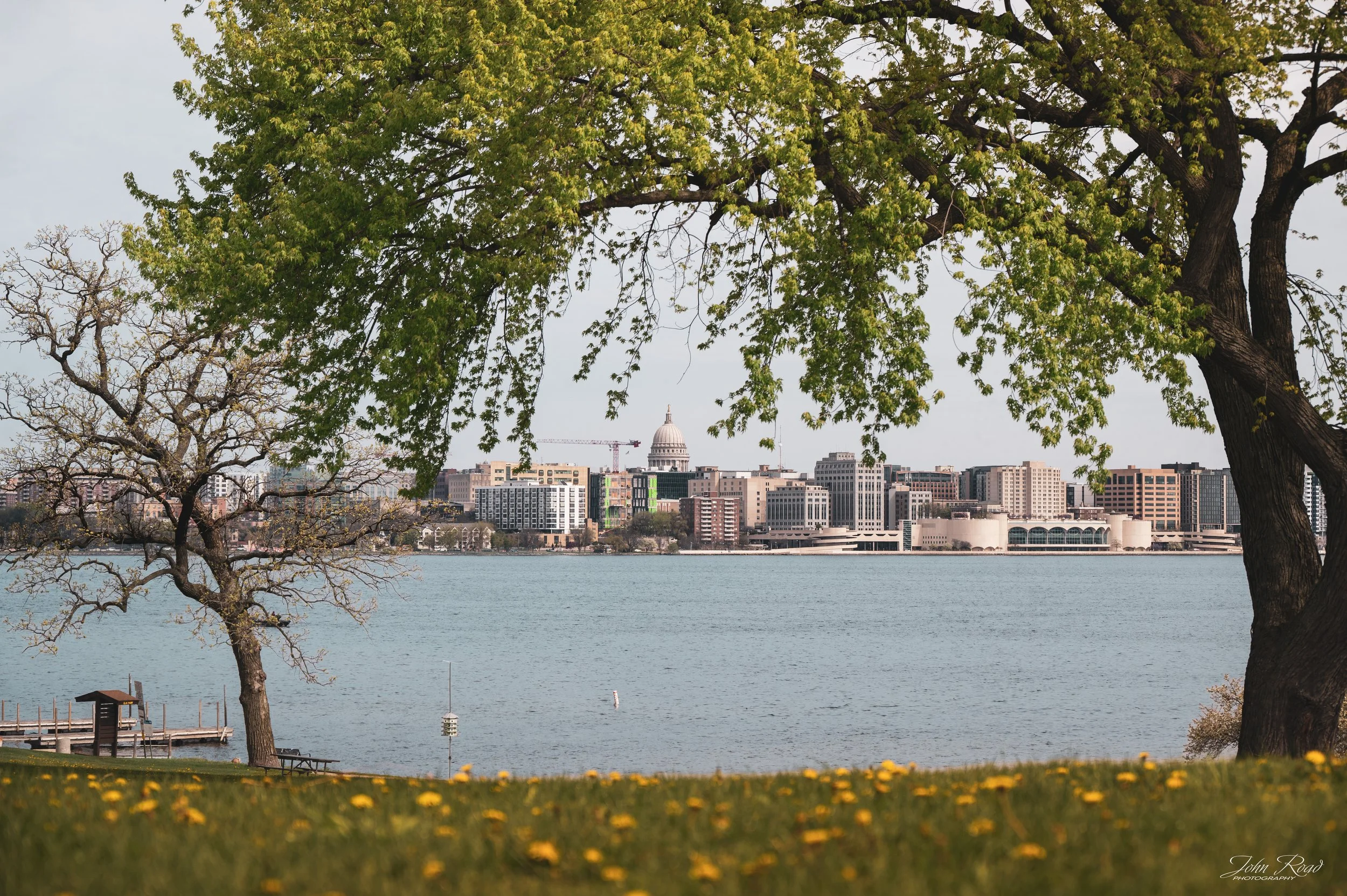City skyline across a lake framed by green trees and spring grass with yellow flowers in foreground