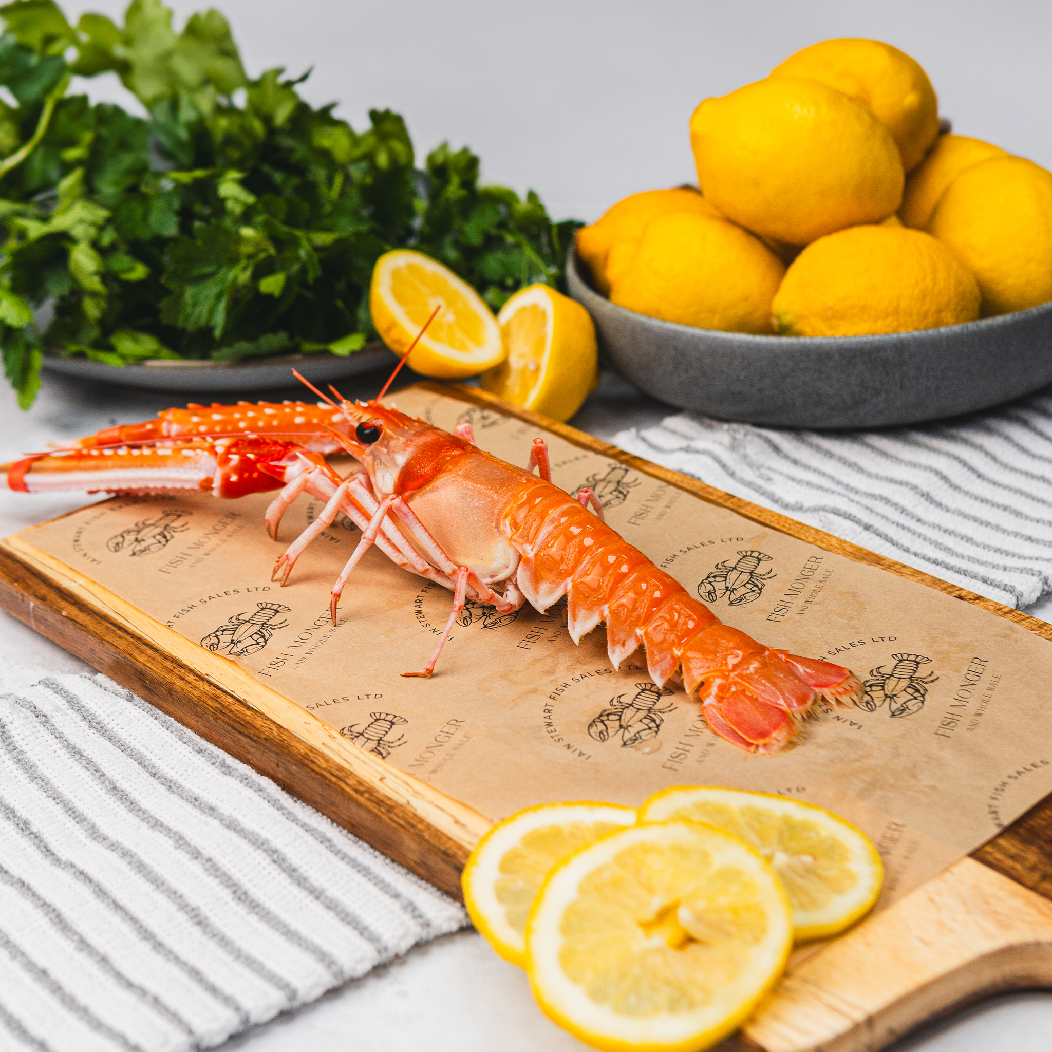 IS030 XL Langoustine.png