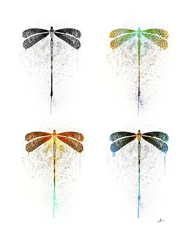 Dragonflies_web_72dpi_800px.jpg