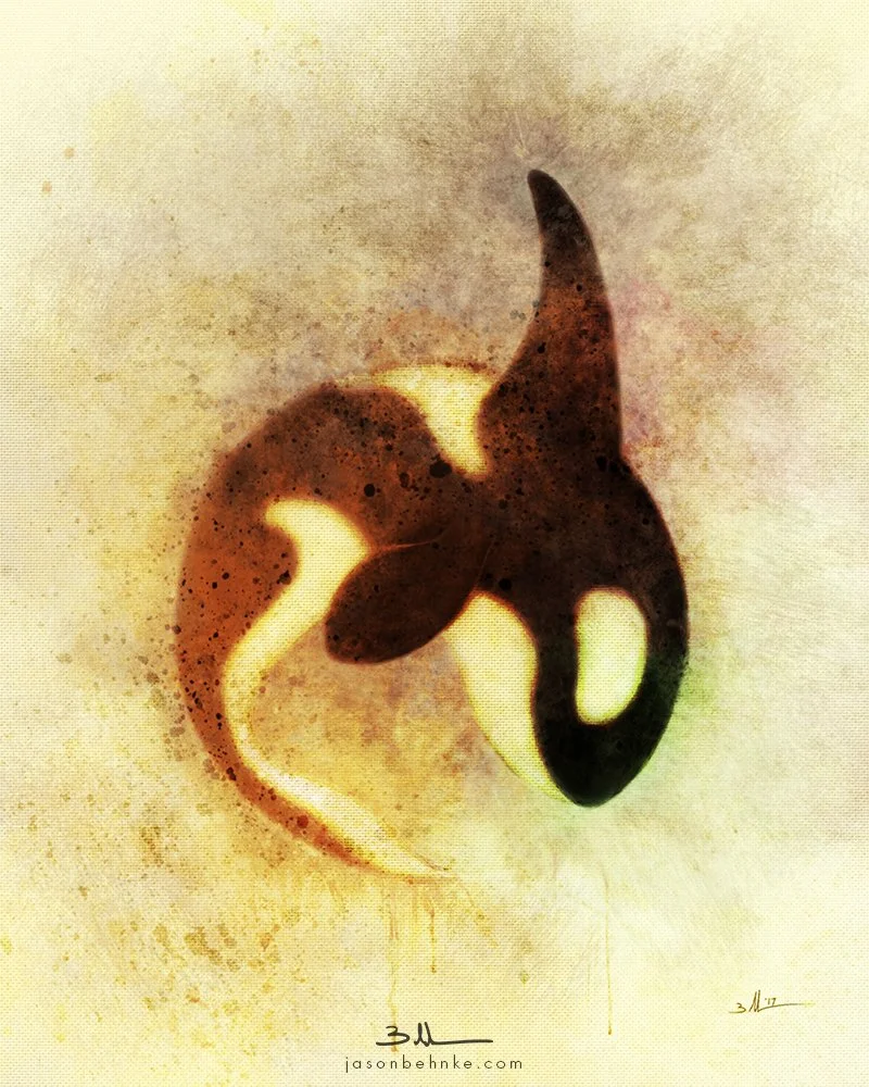 orca_web_72dpi_800px.jpg