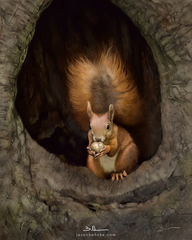 Squirrel_web_72dpi_800px.jpg