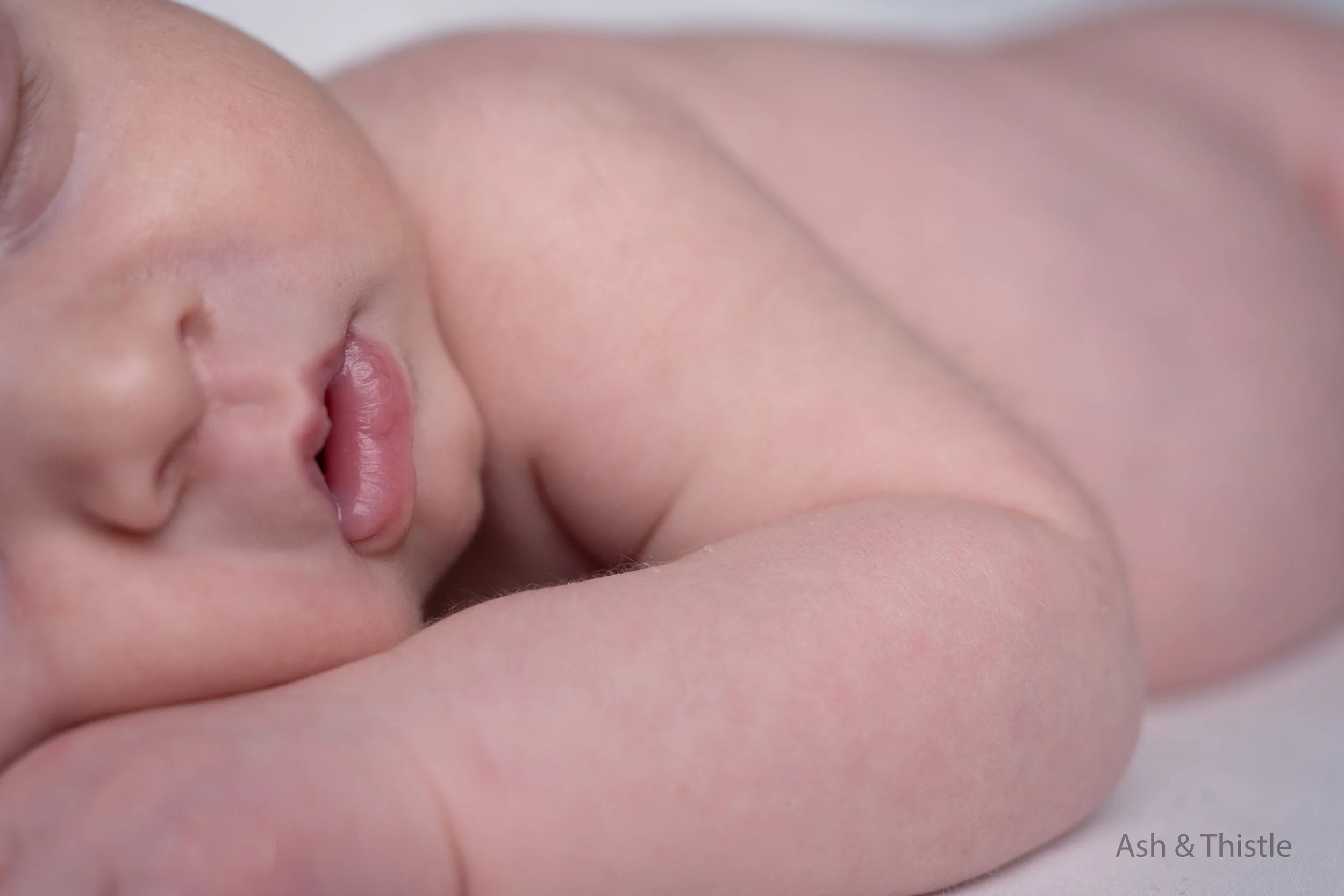 A newborn photographer in toledo ohio showing the details of the newborns mouth and nose