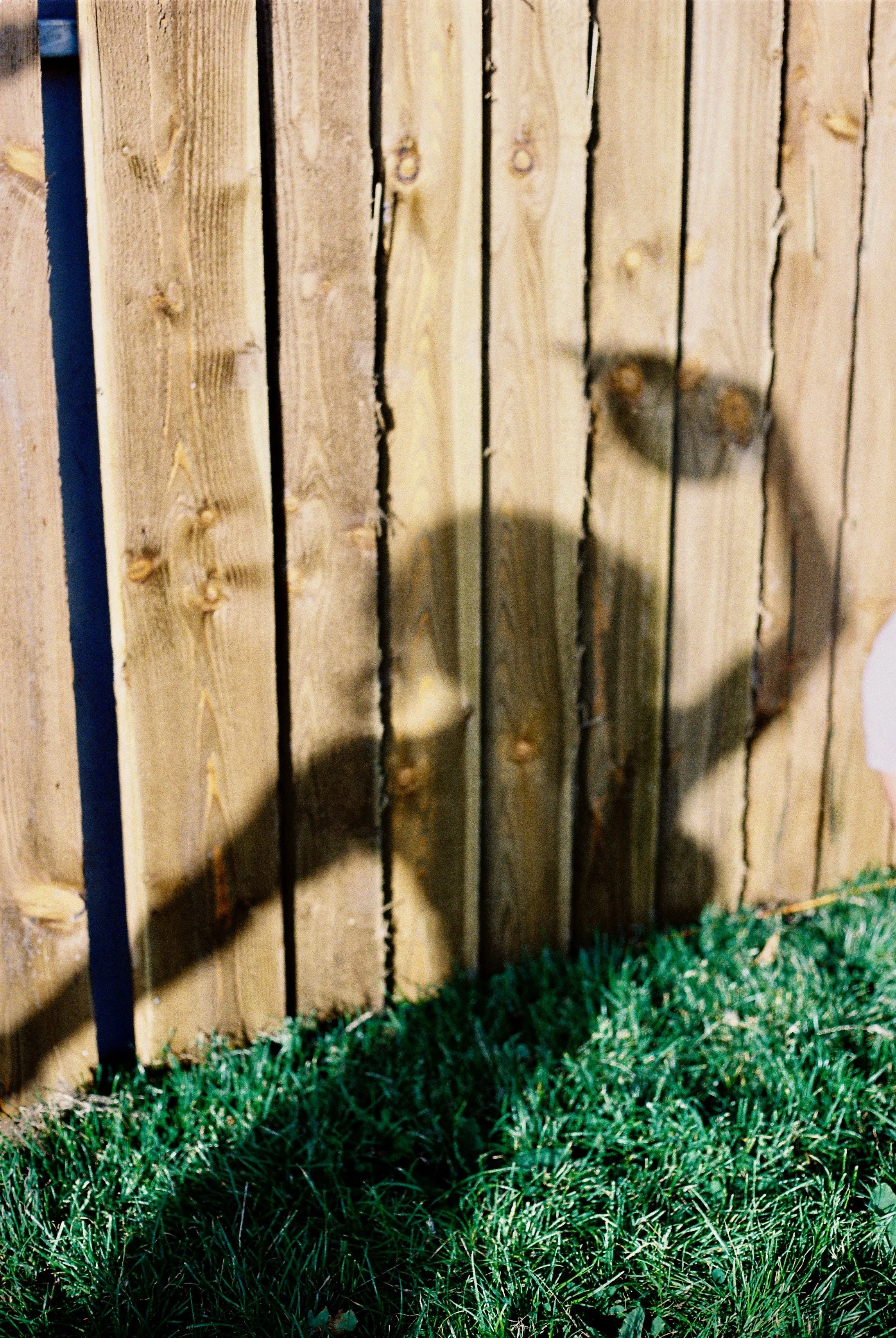 GALA_JojoCaitlin_Film_8A.jpg