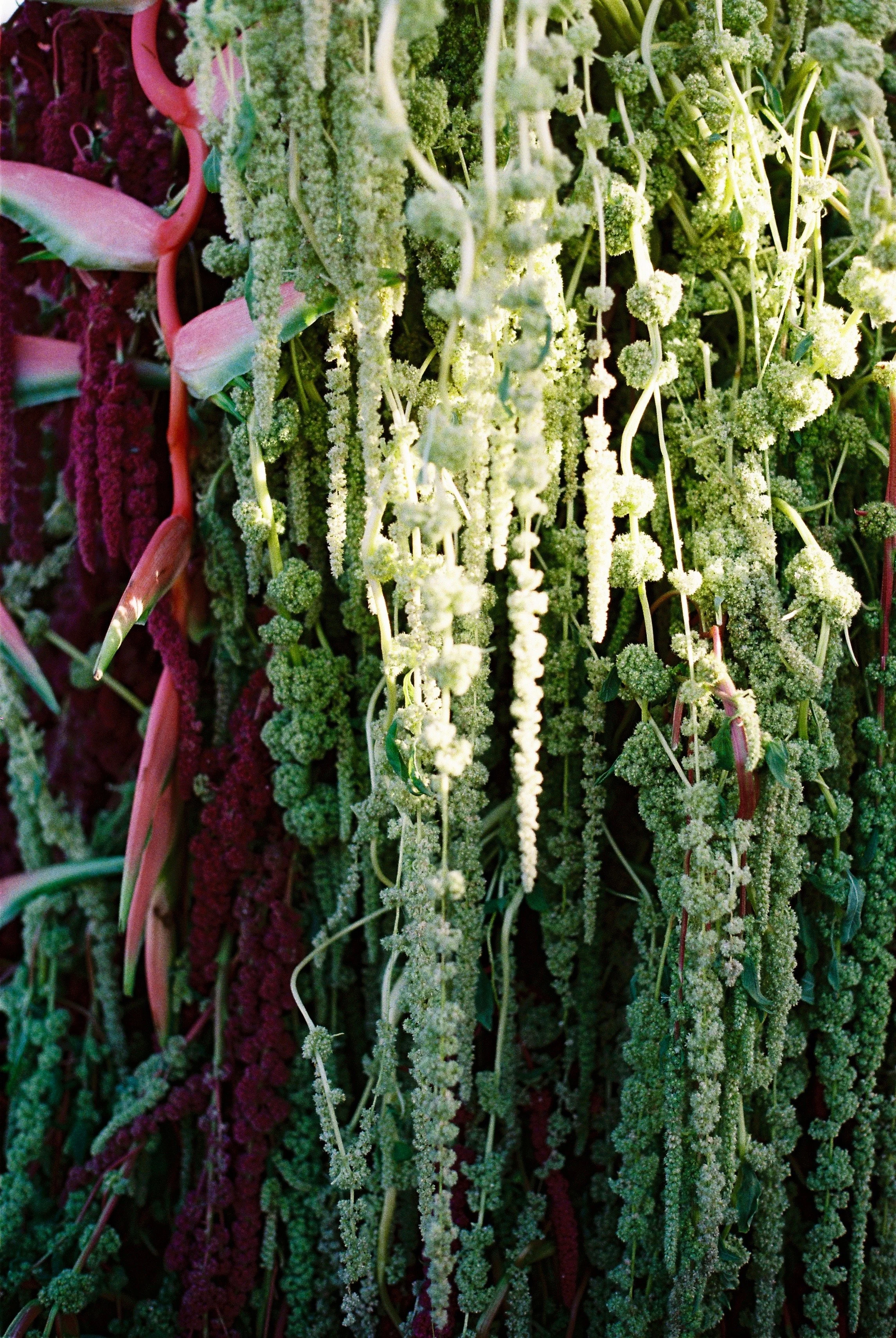 GALA_JojoCaitlin_Film_10B.jpg