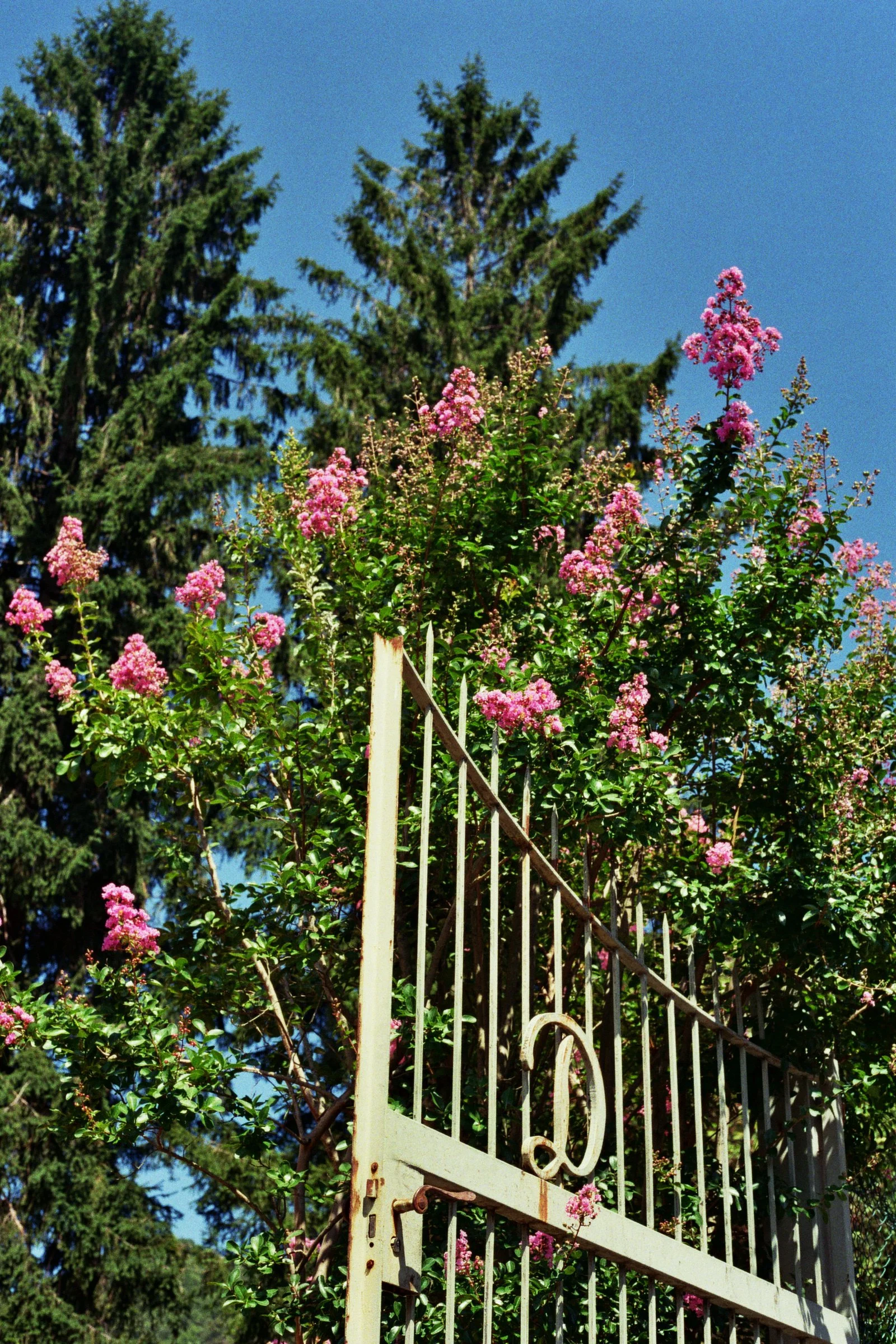_20_00900.jpg