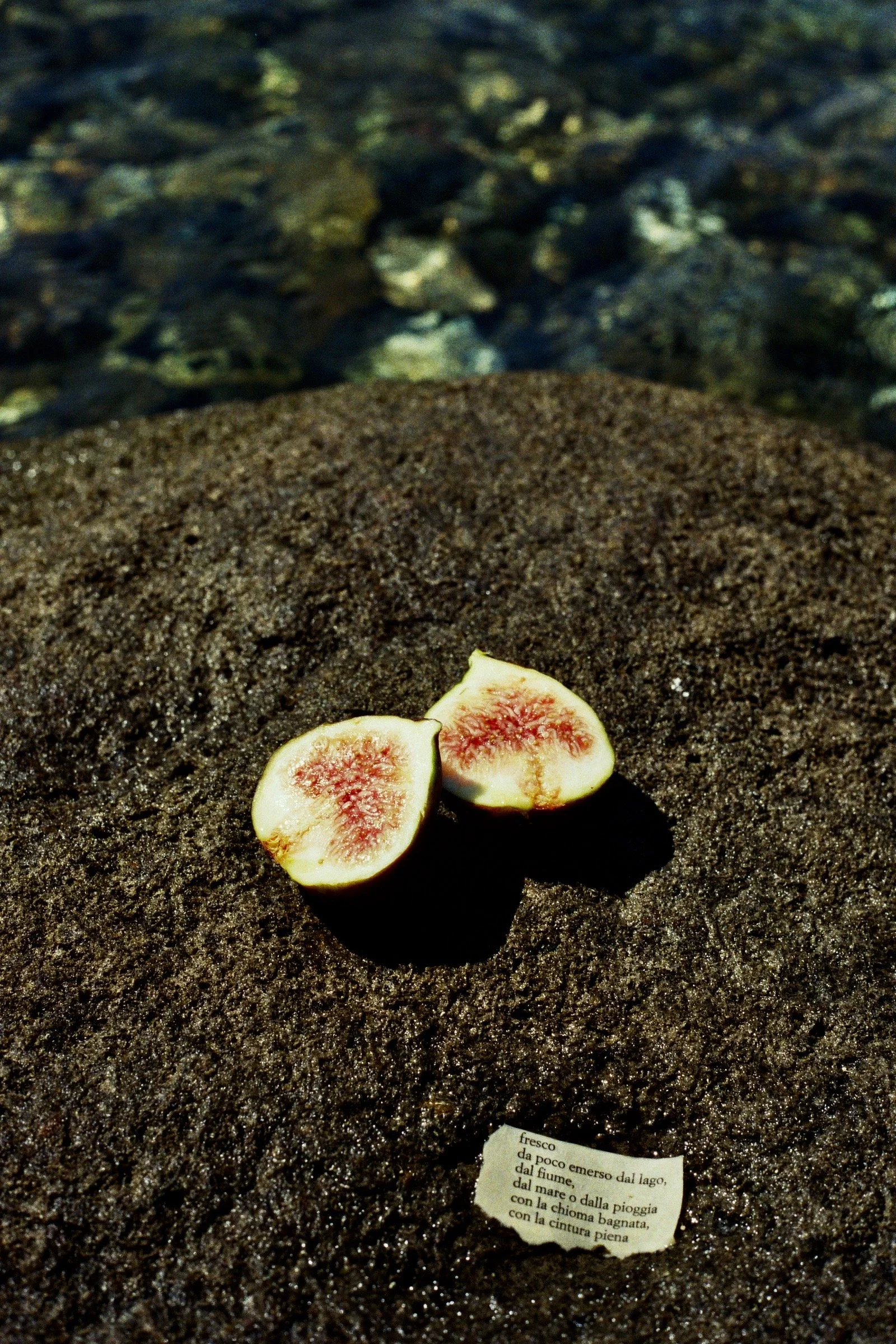 26A_00874.jpg