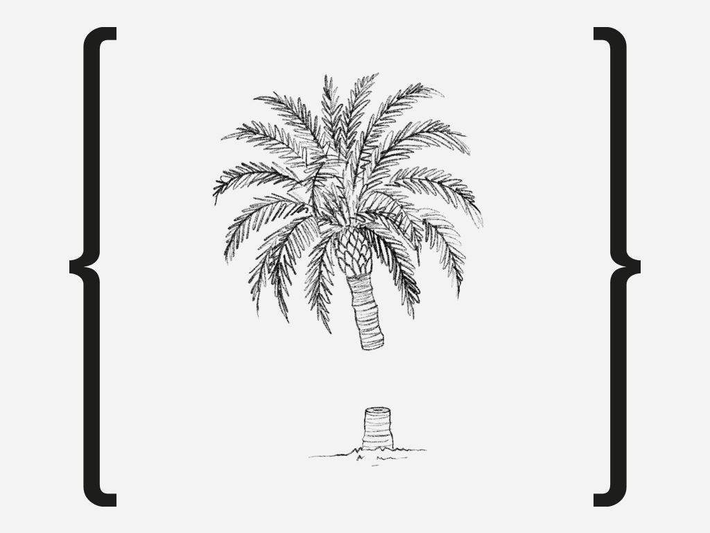 Proyecto Palmera