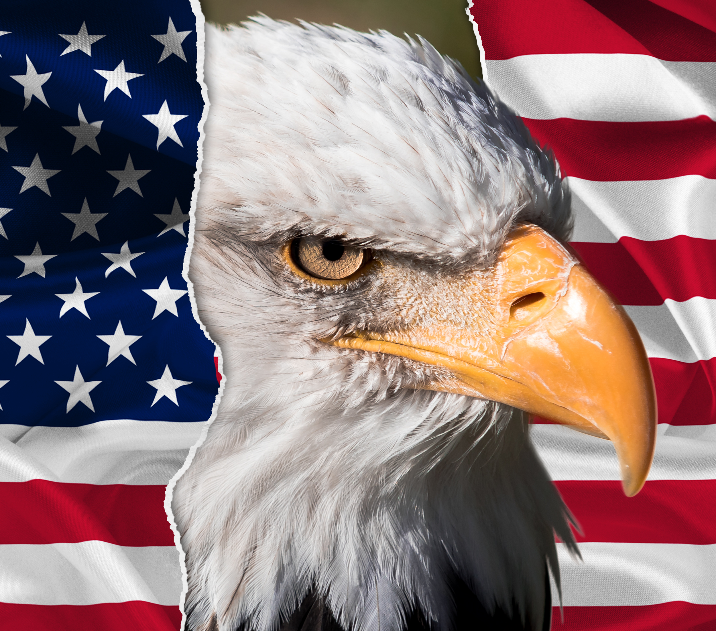 Tumbler Eagle-US1-Sright.png