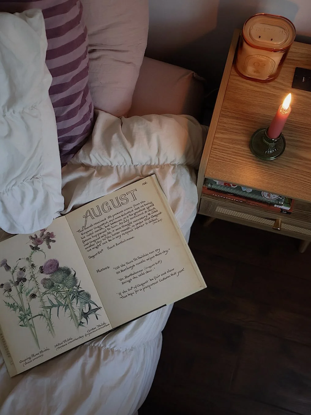 &ldquo;If the 24th of August be fair and clear, then hope for a prosperous autumn that year&rdquo; 🍁🪻snapshots from &ldquo;The Country Diary of an Edwardian Lady&rdquo; by Edith Holden, featuring handwritten observations, poetry, and paintings of t