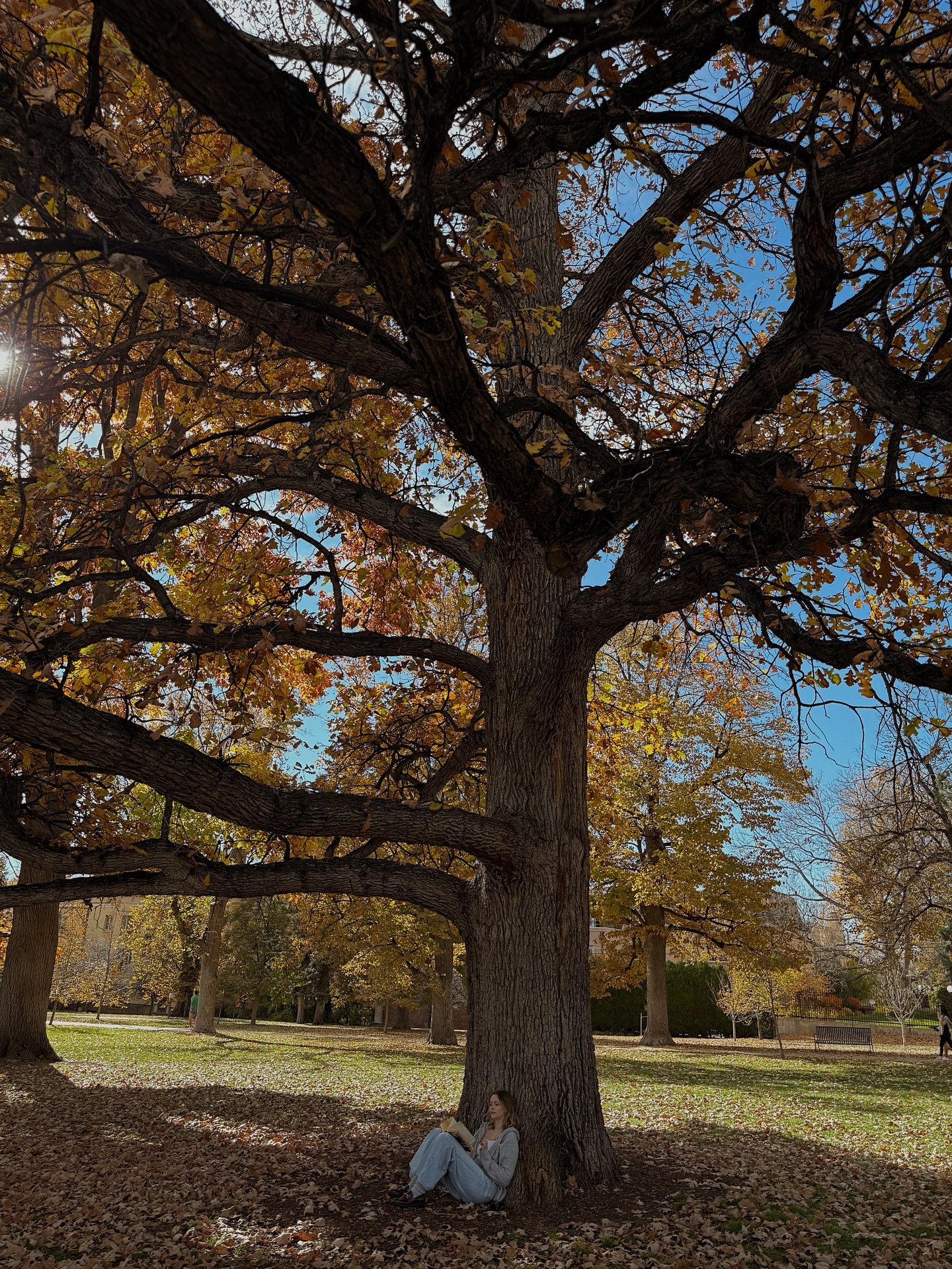 Fall is still in the air 🍁 but I&rsquo;m immediately decorating for Christmas when I get home