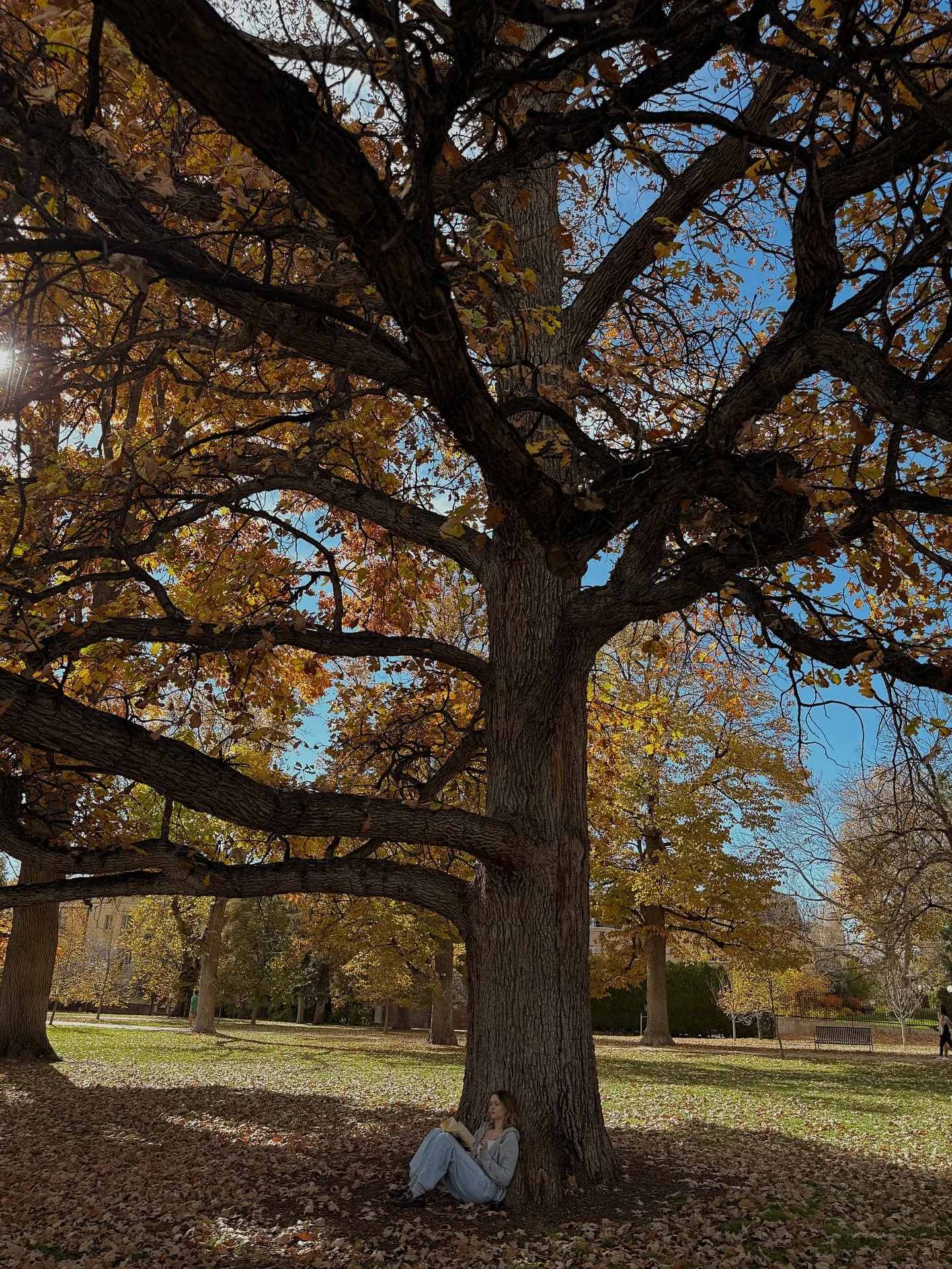 Fall is still in the air 🍁 but I&rsquo;m immediately decorating for Christmas when I get home