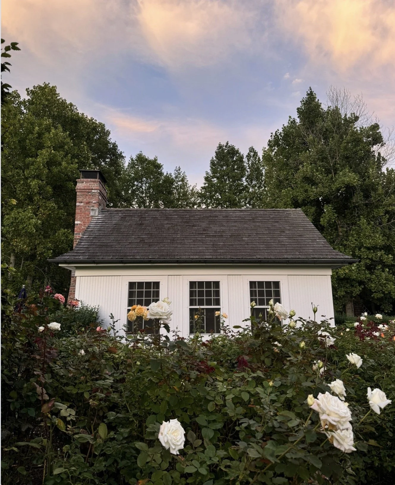 Screenshot 2026-03-17 at 7.21.10 PM.jpg