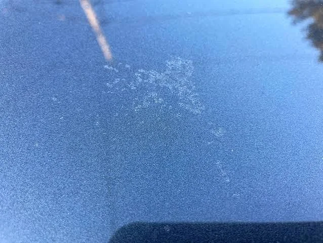 Why Summer Is Harder on Your Paintwork Than Winter