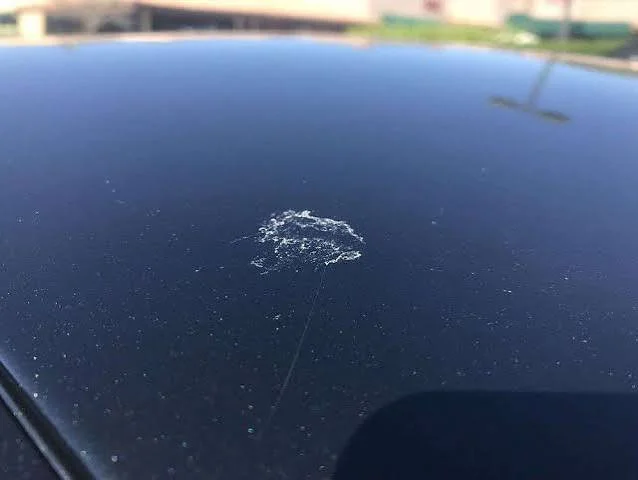 Tree sap bonded to car bonnet requiring professional removal
