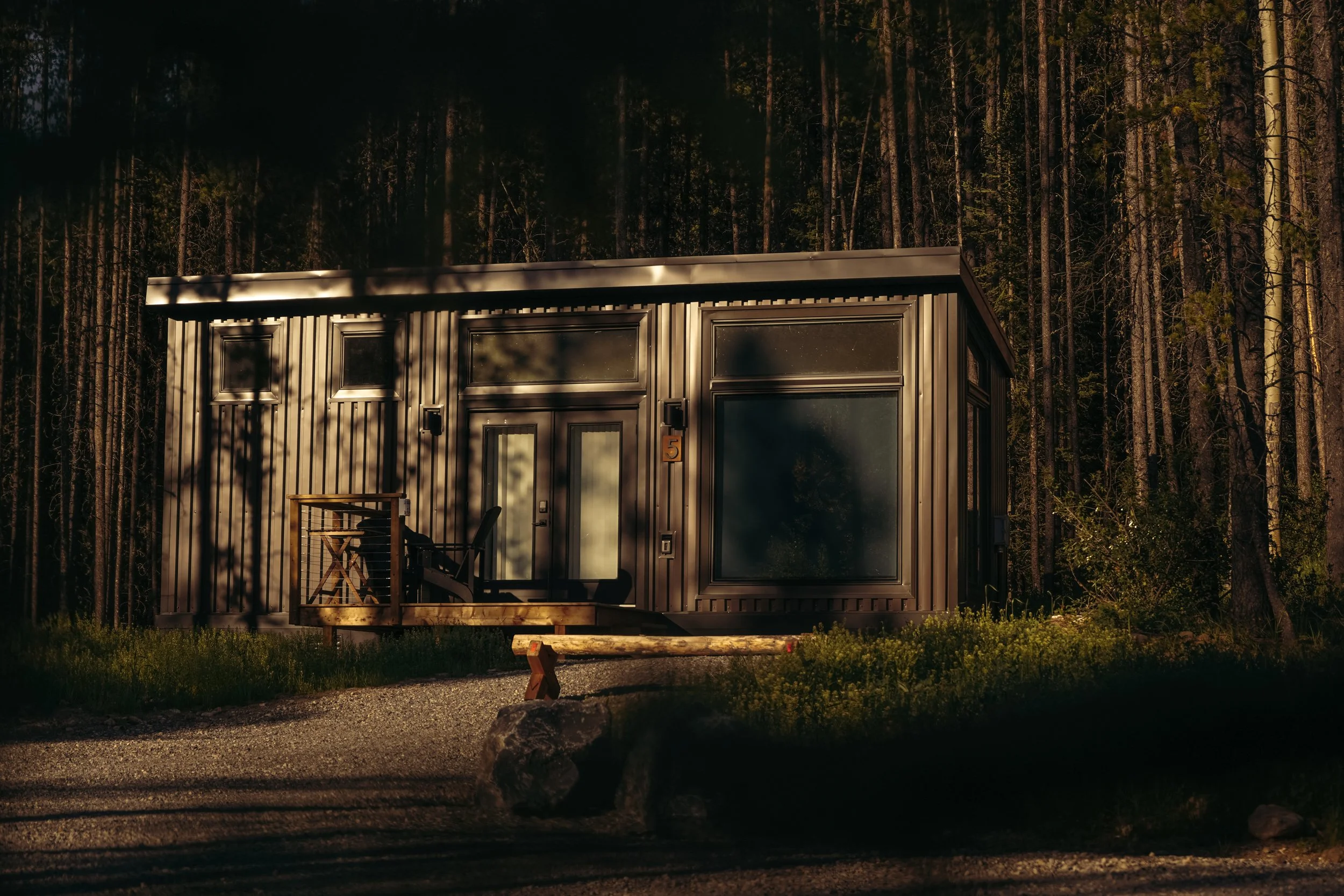 Skybox-cabin-shadow-trees.jpg