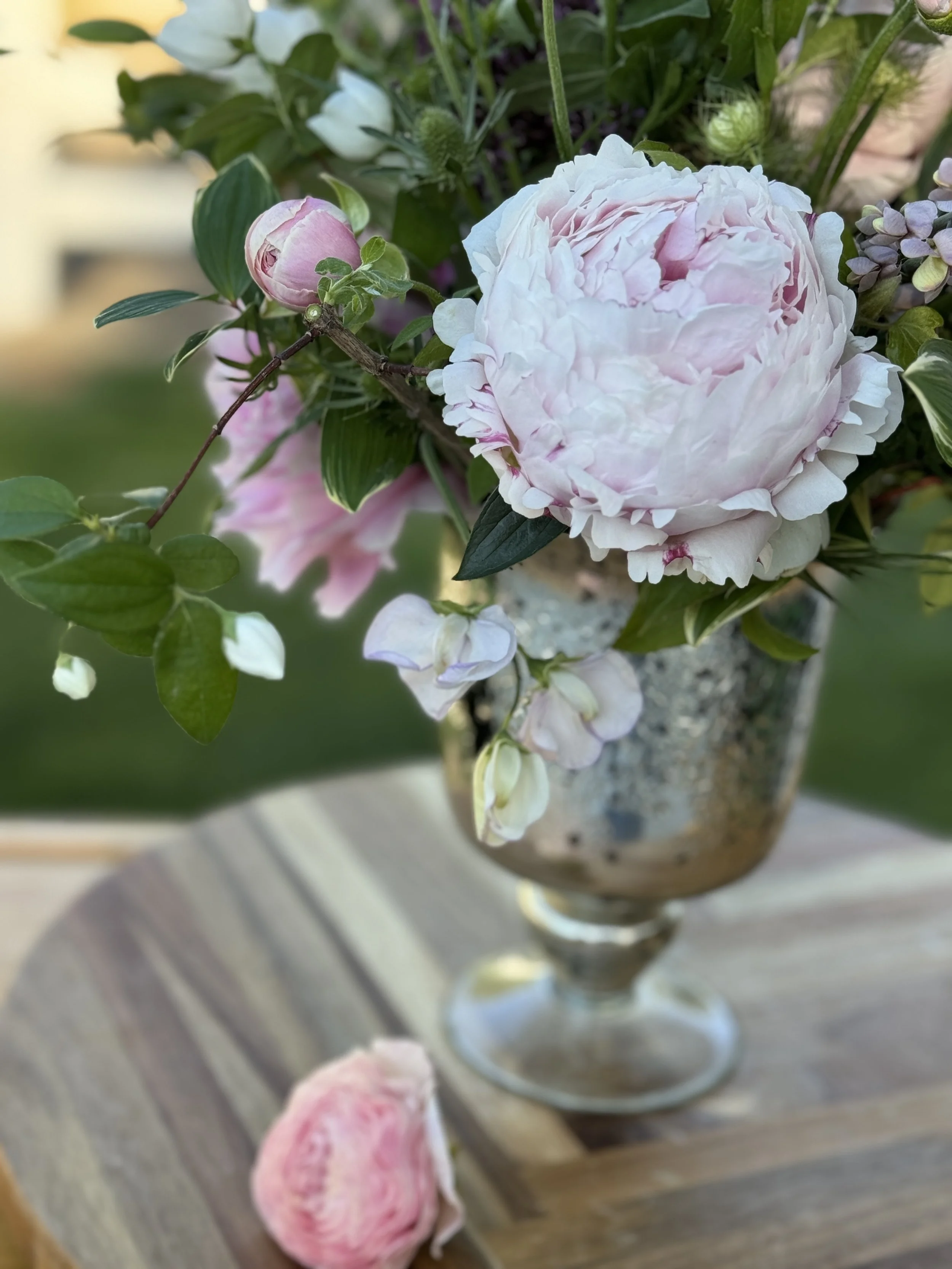 These Petals, This Vase: A Gentle Guide for Flower Lovers