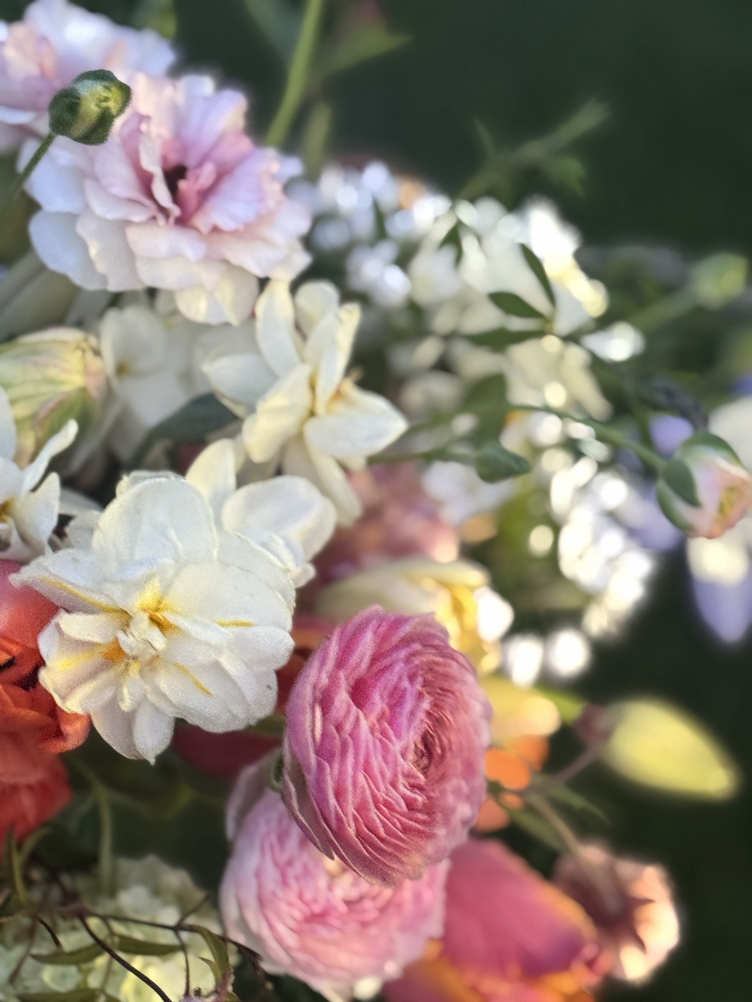 How to Care for Fresh Flowers to Extend Vase Life—and Joy