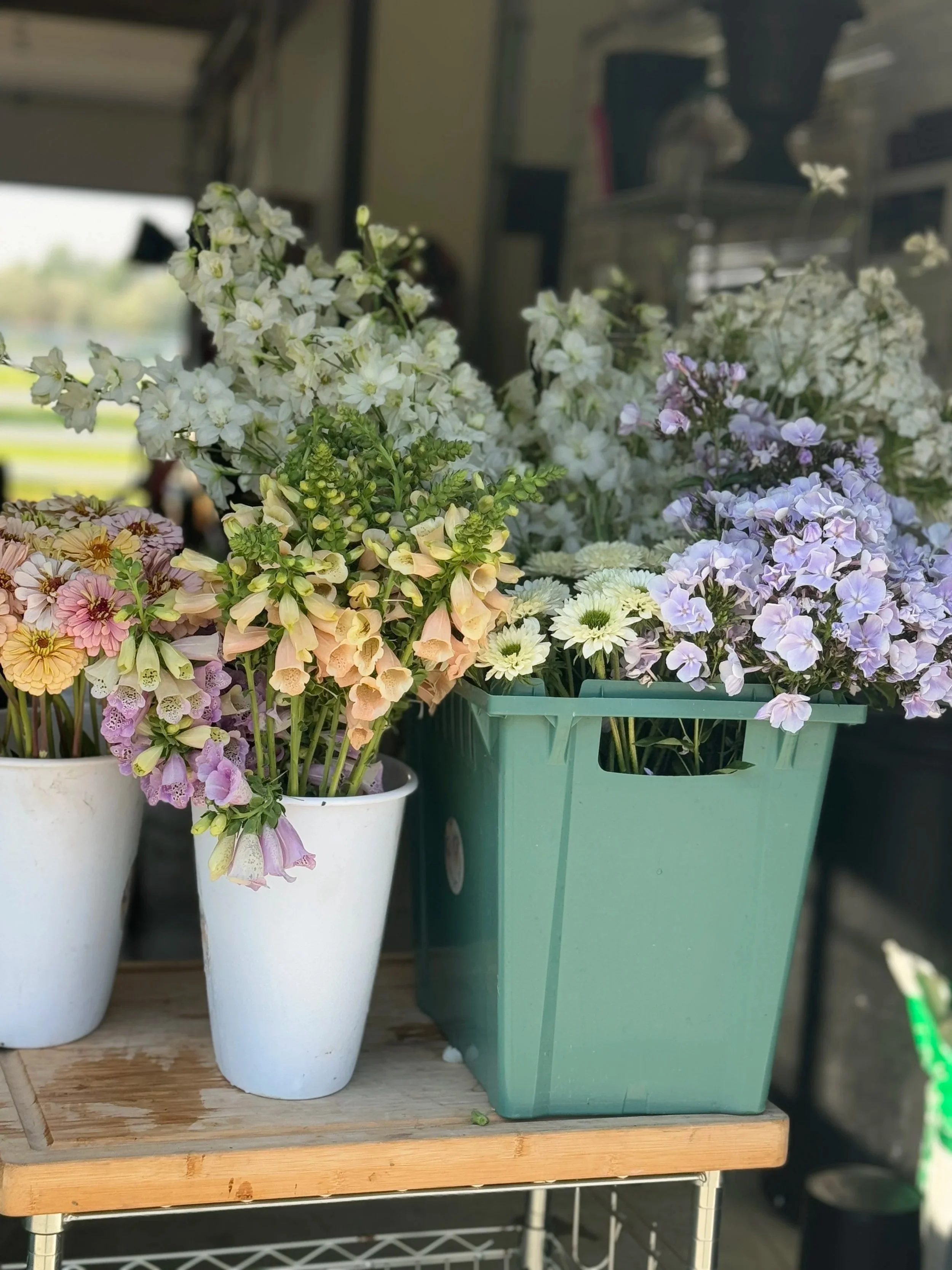June Bucket's of Blooms by Ella June Gardens