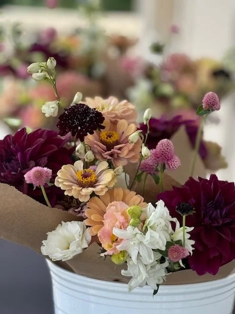 Flower Friday.jpg