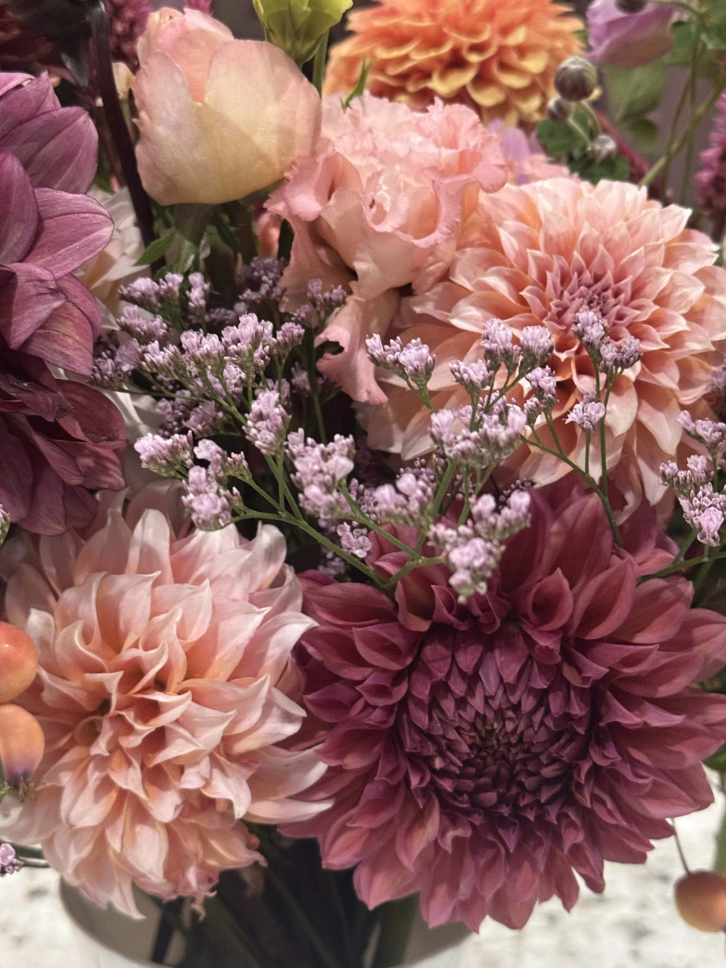 August Joyful flowers by Ella June Gardens 