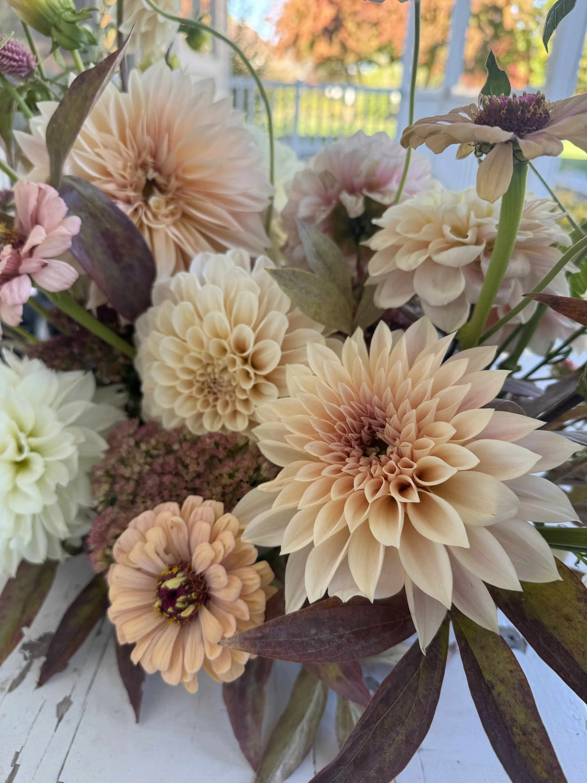 Ella June Gardens September Sweetheart prioritizing peachy tones