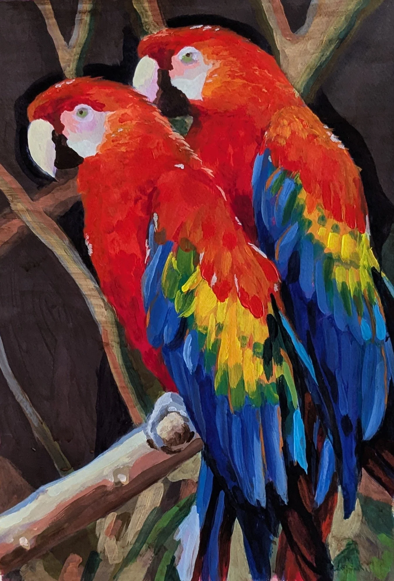 ilustranita_guacamayas_02.jpg