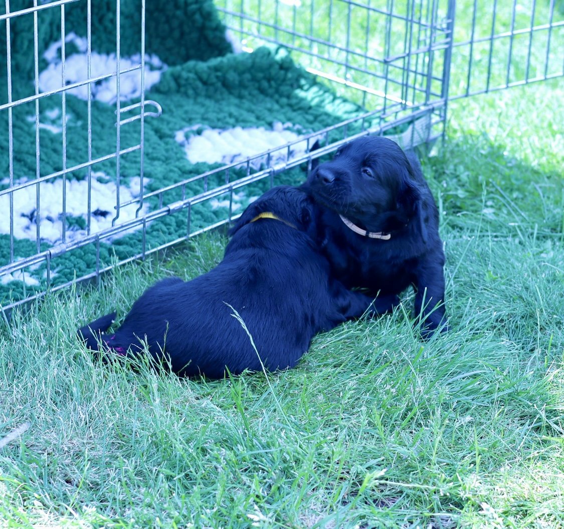 FullSizeRender 3.JPG