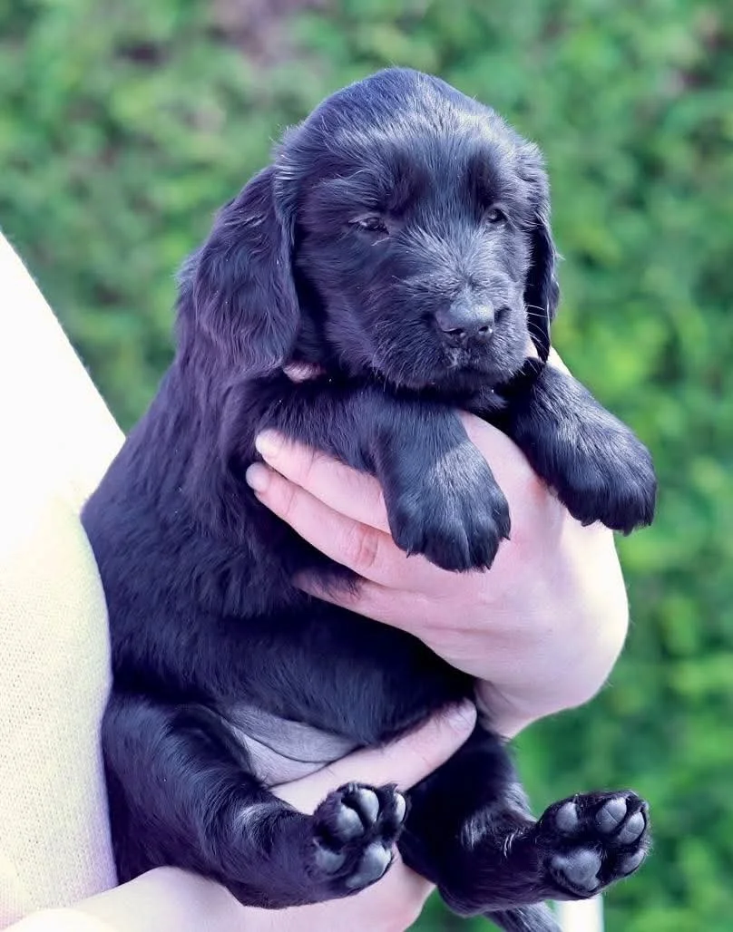 415a9f2ace432c3626984eea1ec04787 2.JPG