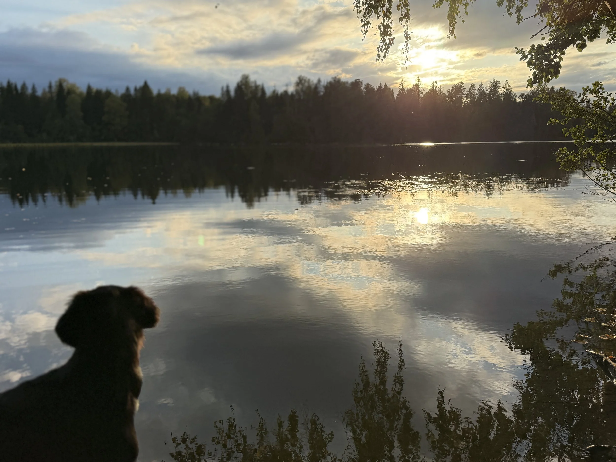 IMG_6007.jpeg