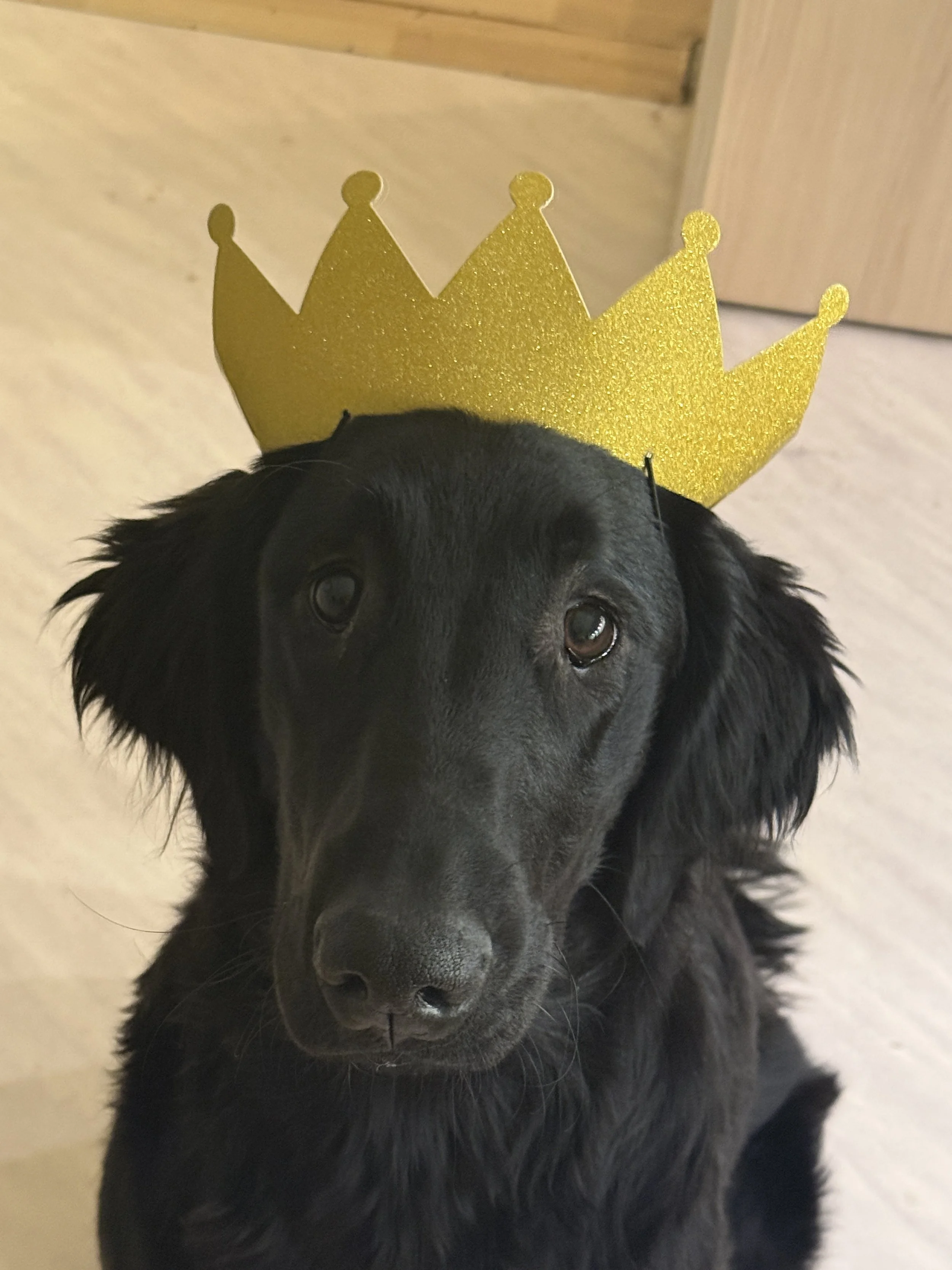 2026, det må bli bedre