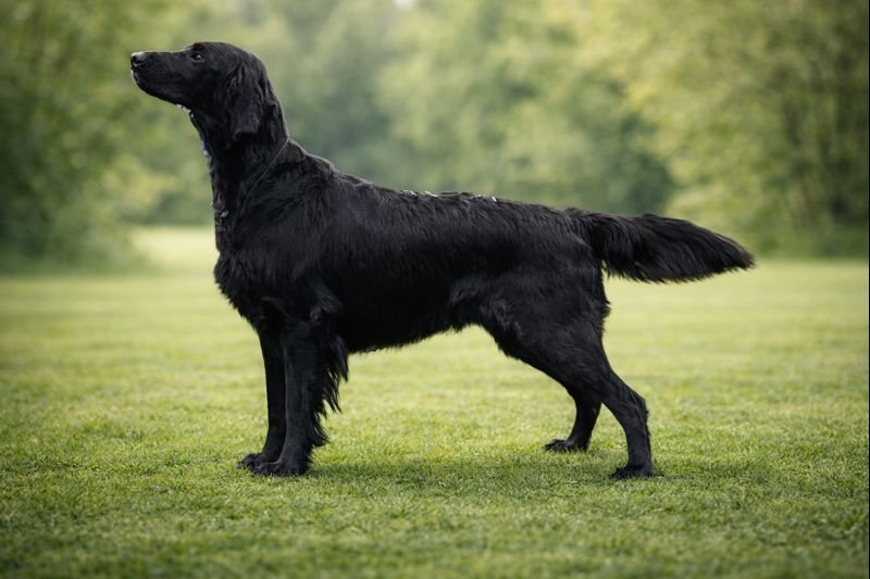 Ekte bilde med bakgrunn fra ChatGPT