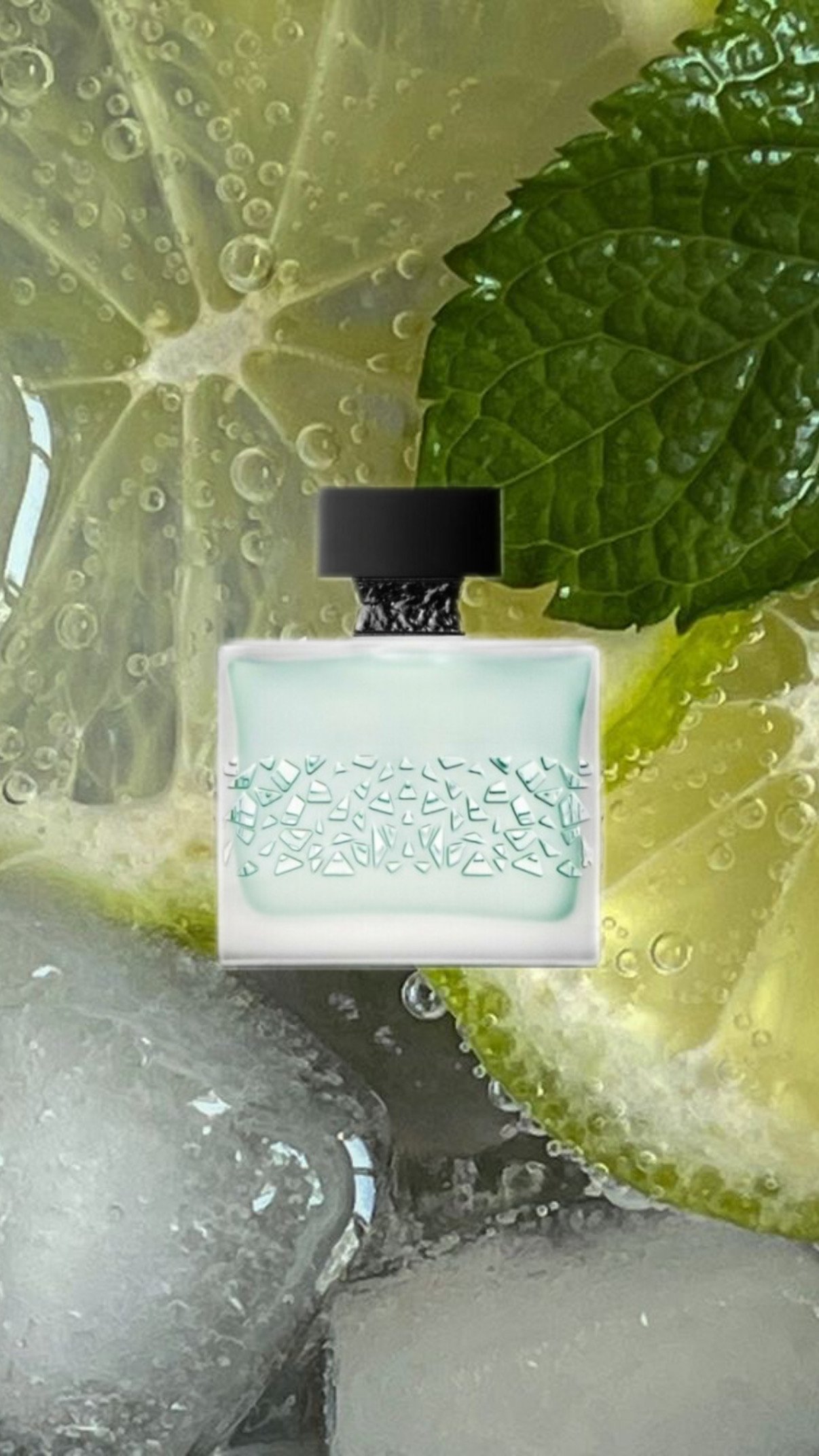 M. Micallef - GNTONIC