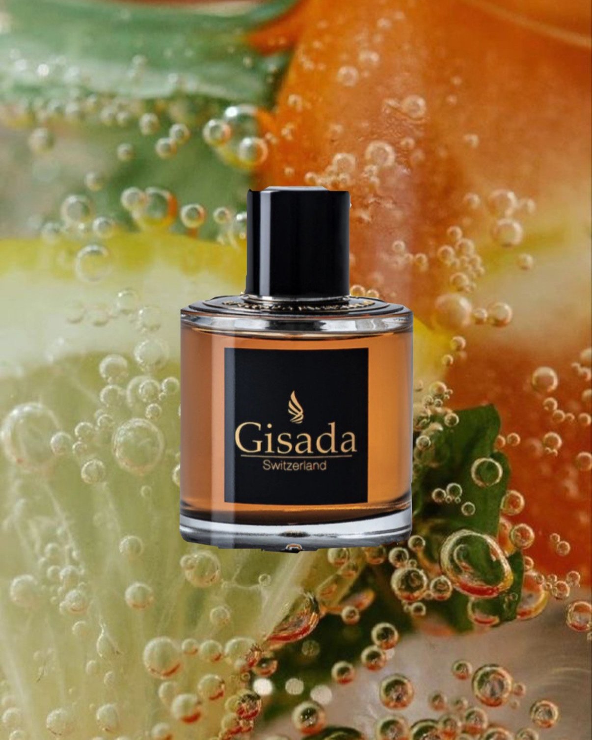 Gisada - Ambassador Men