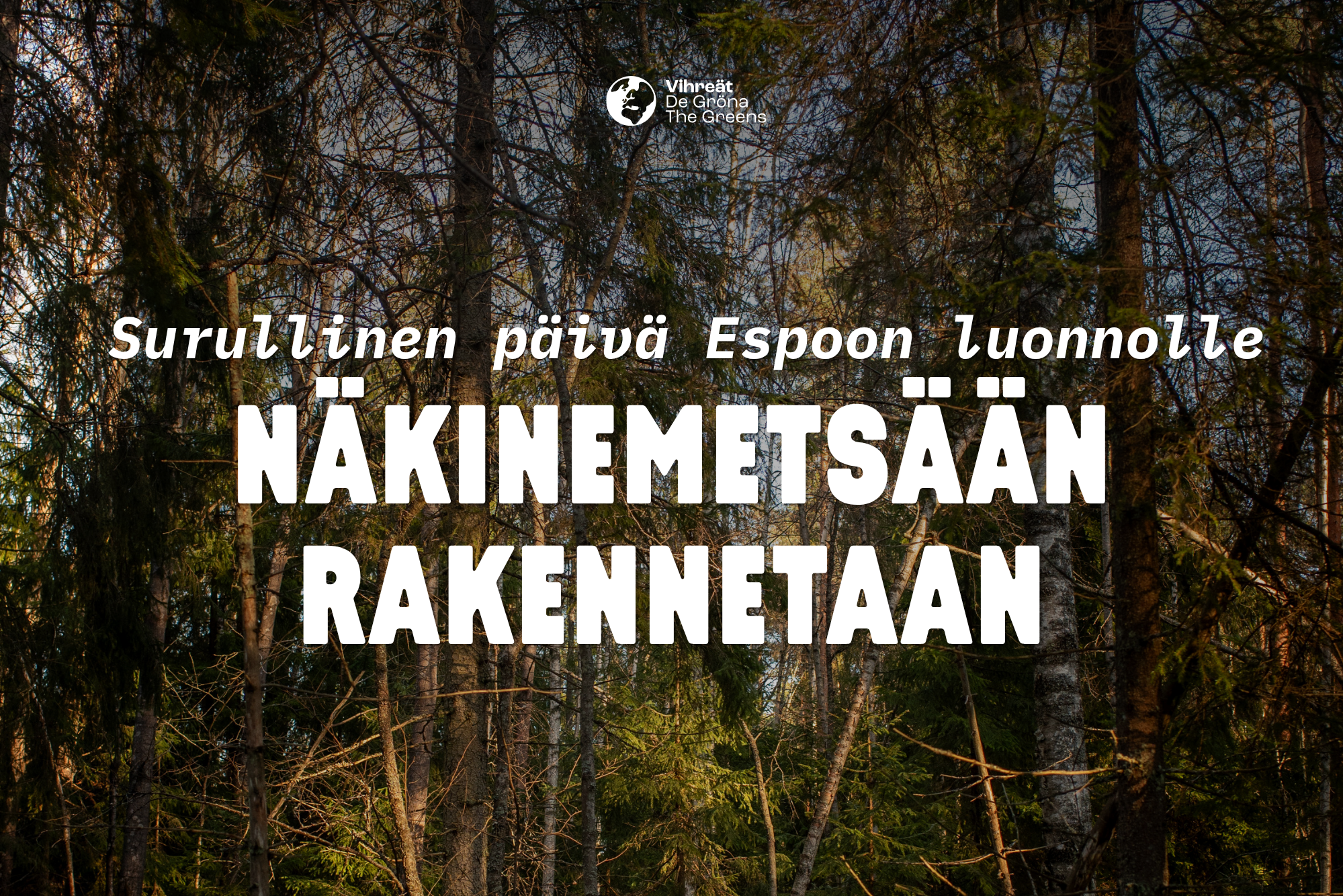 Näkinmetsään arvokkaalle luontoalueelle rakennetaan — vihreät vastustivat