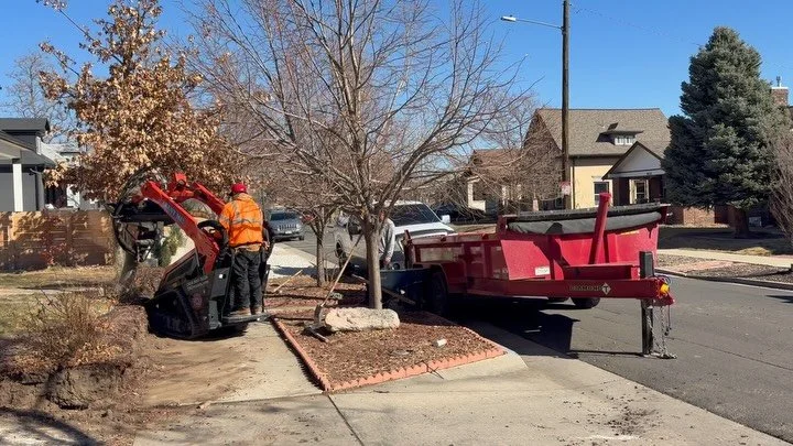 Work! Today your crew from The Boyz Rentals delivered a mini-skid steer (AKA &ldquo;Dingo&rdquo;), our @diamondttrailer 7x14 16k GVWR Dump Trailer, and a Concrete Breaker to one of our amazing clients in Denver today. This crew is replacing a sidewal