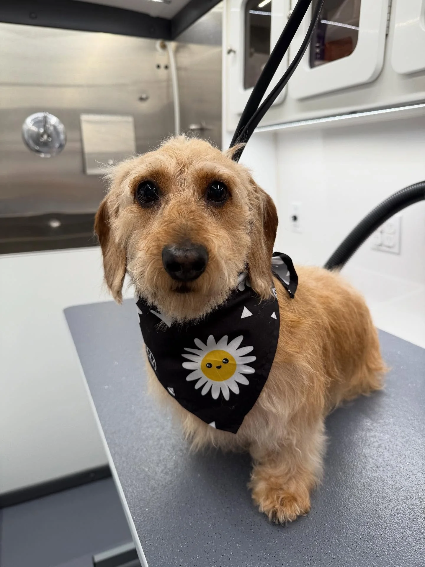 Swipe for a surprise 🤪