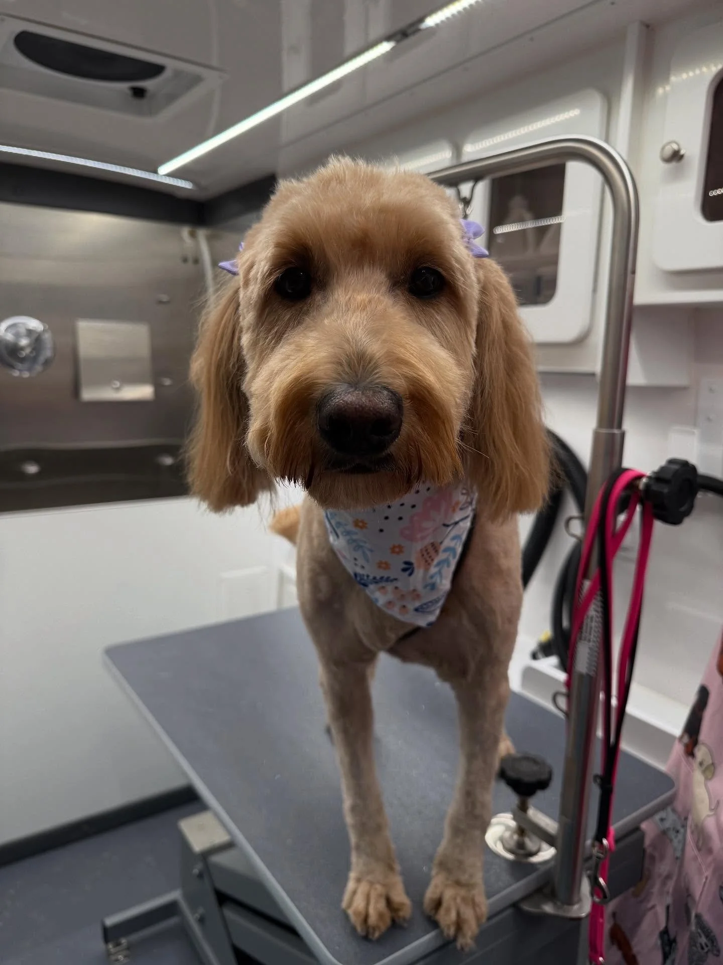 3 willing photoshoot participants&hellip;1 not so much😆