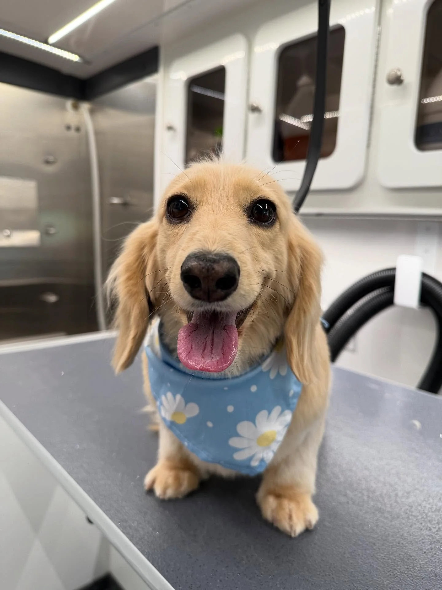 The best boys today ☺️