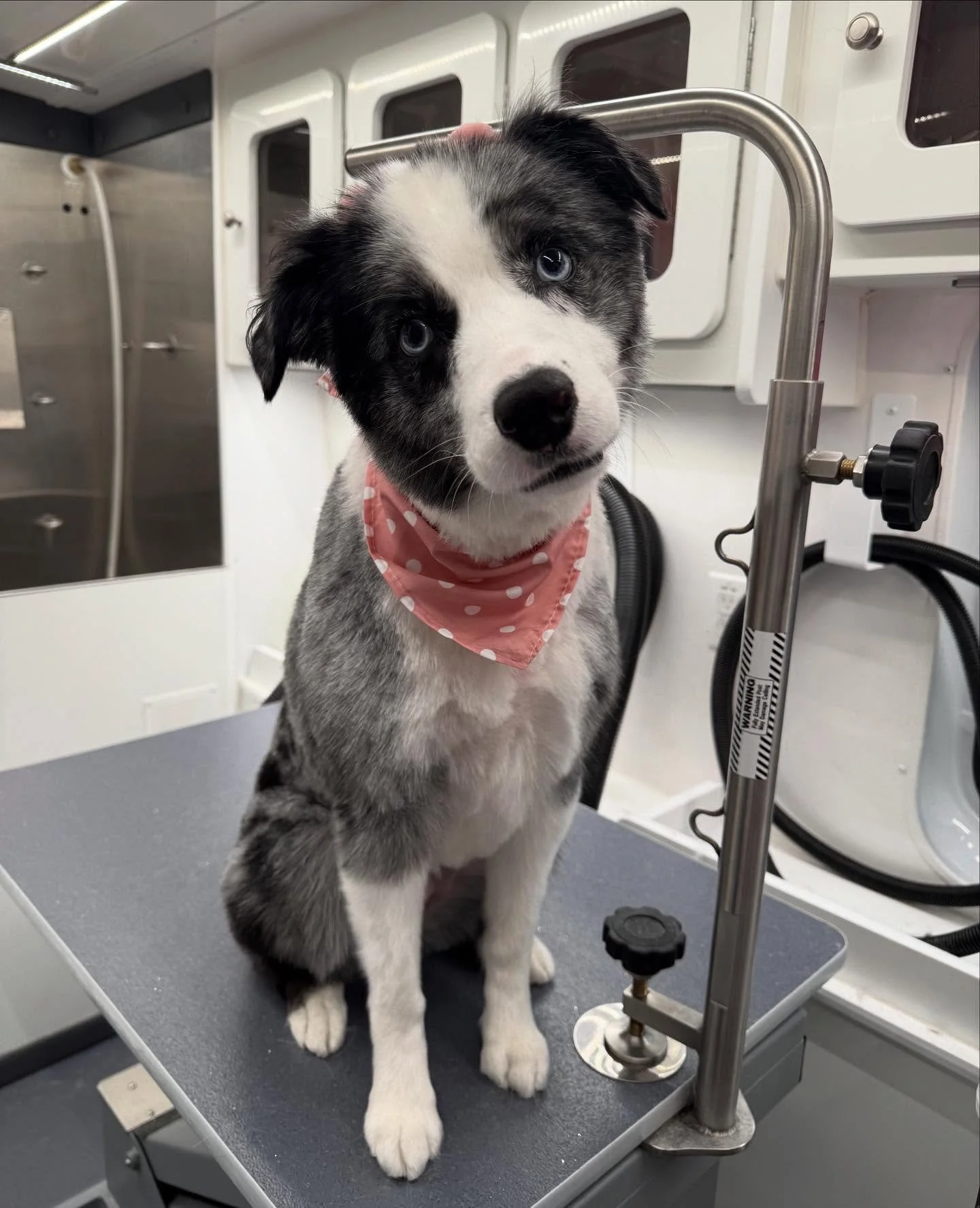 Wednesday cuties!!!!!